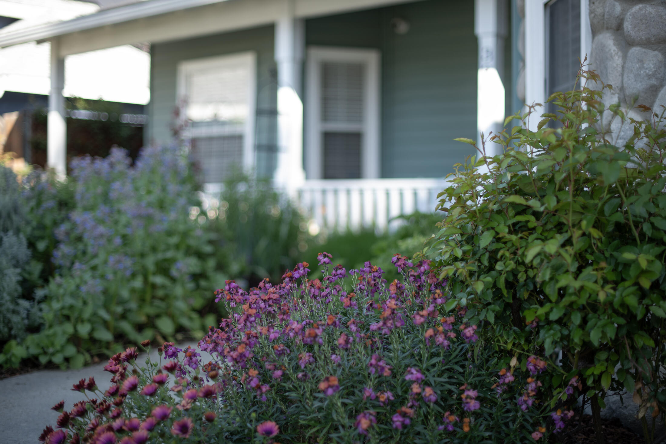 3900 W Allen Ct, Visalia, CA 93291