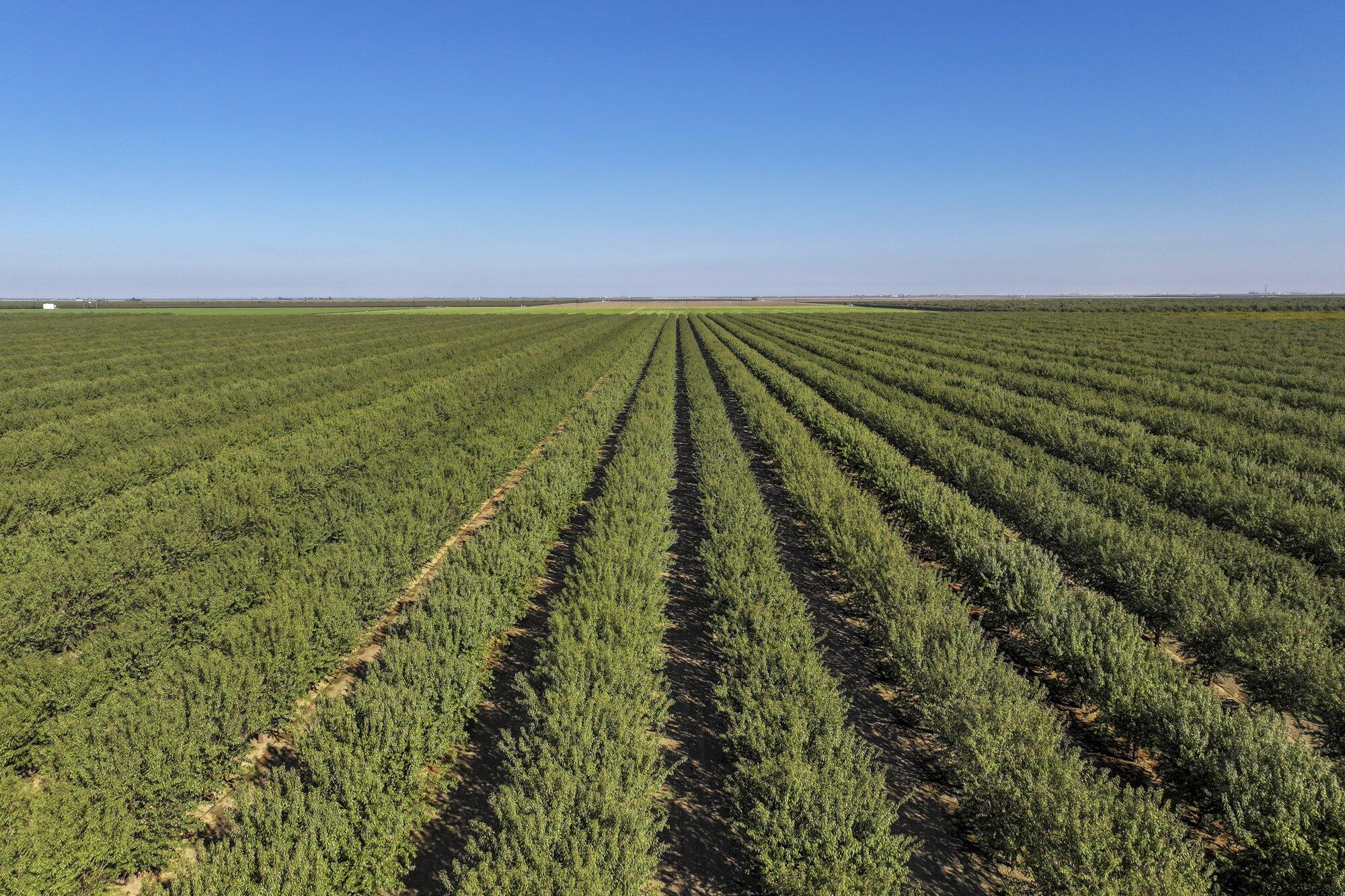 0 W Stutz Ave, Coalinga, CA 93210