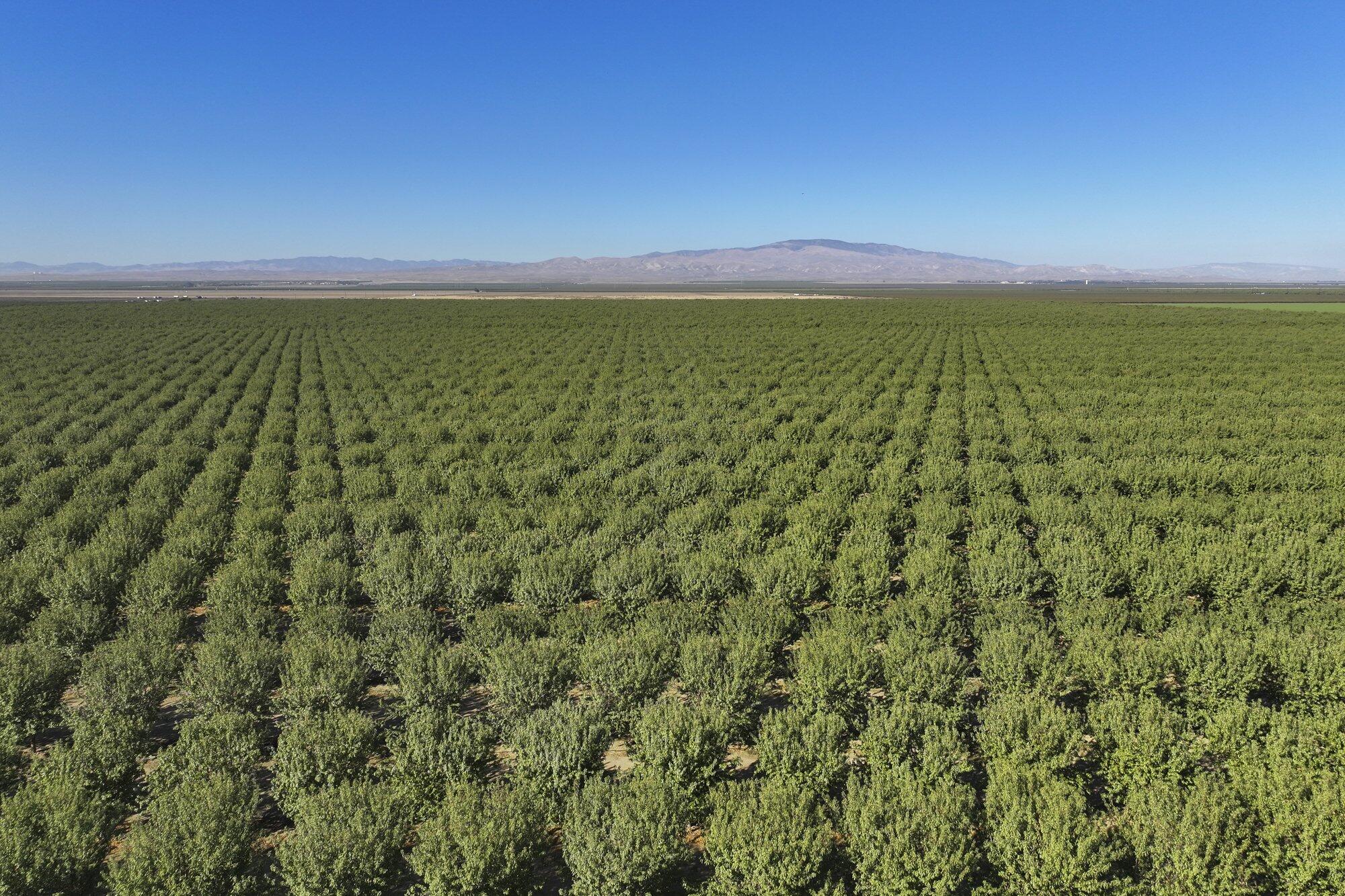 0 W Stutz Ave, Coalinga, CA 93210