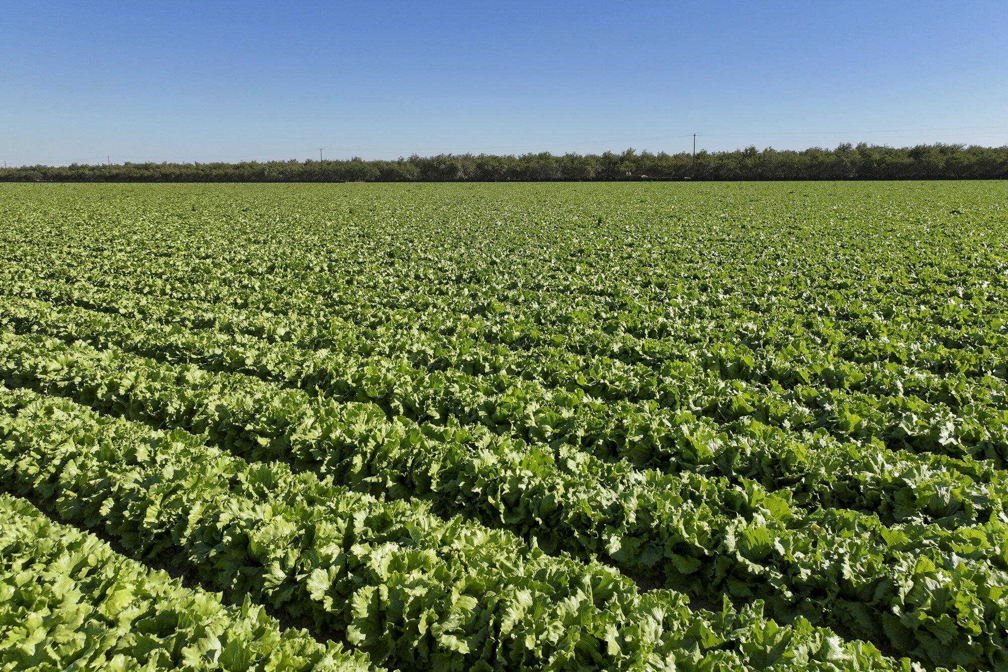 0 W Stutz Ave, Coalinga, CA 93210