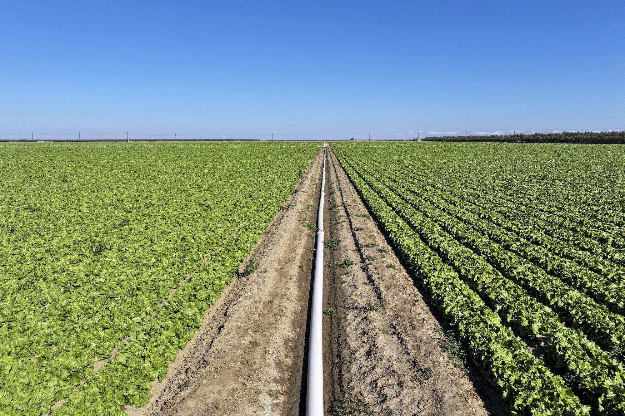 0 W Stutz Ave, Coalinga, CA 93210