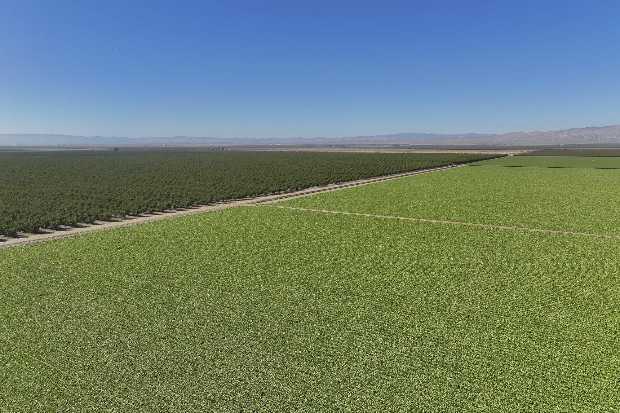 0 W Stutz Ave, Coalinga, CA 93210