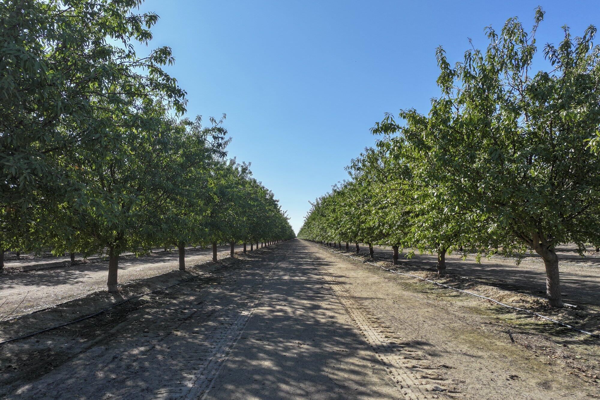 0 W Stutz Ave, Coalinga, CA 93210