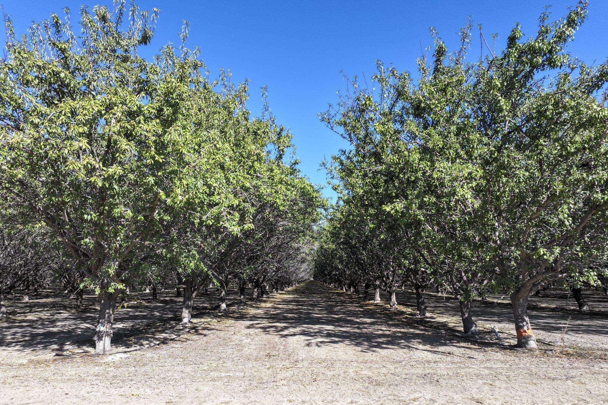 0 W Stutz Ave, Coalinga, CA 93210