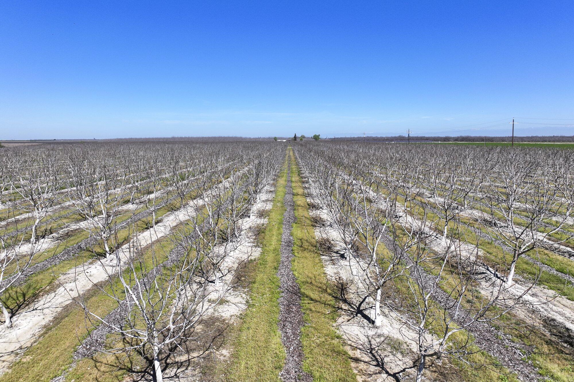 91 E Harlan Ave, Laton, CA 93242