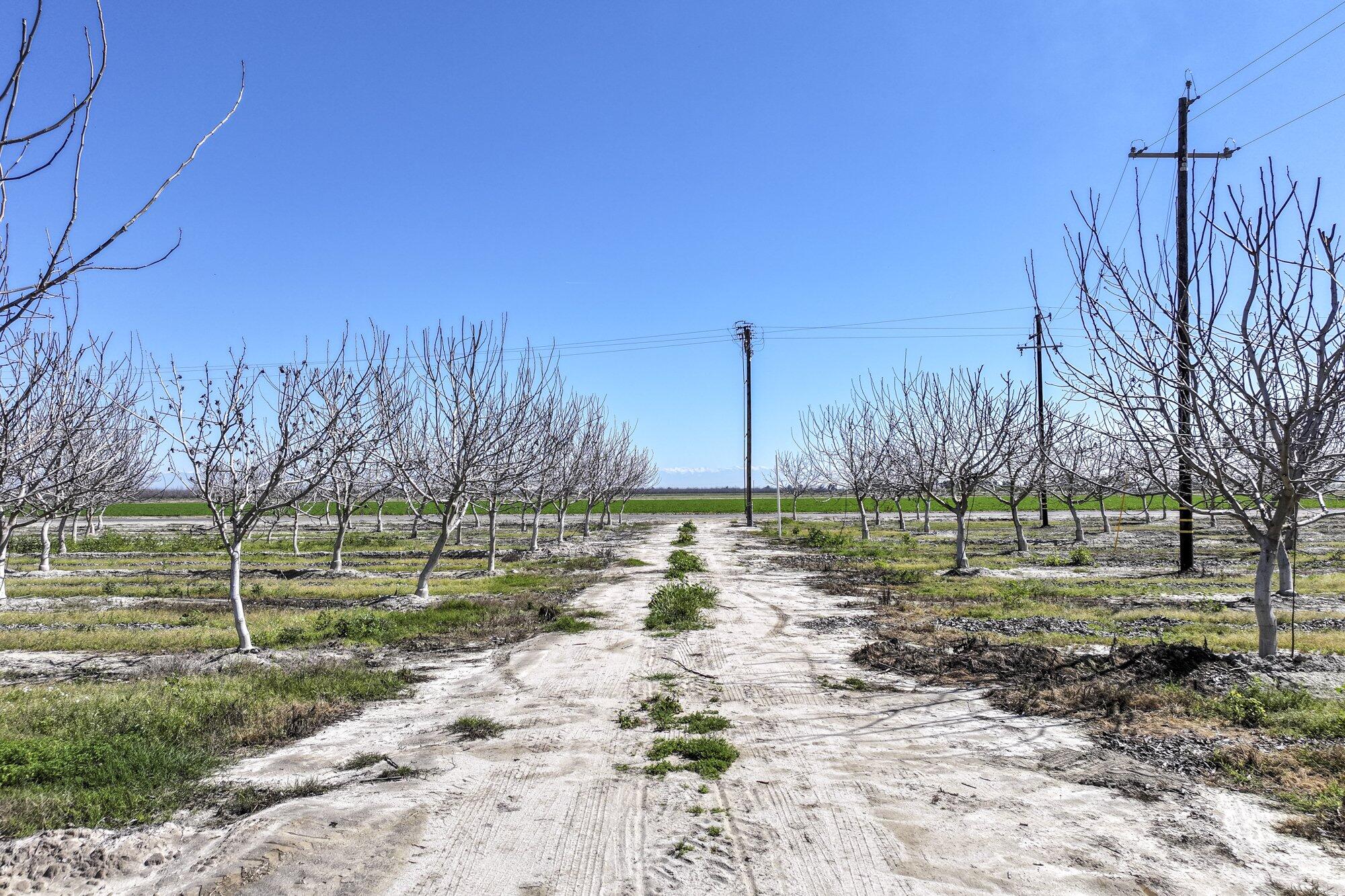 91 E Harlan Ave, Laton, CA 93242