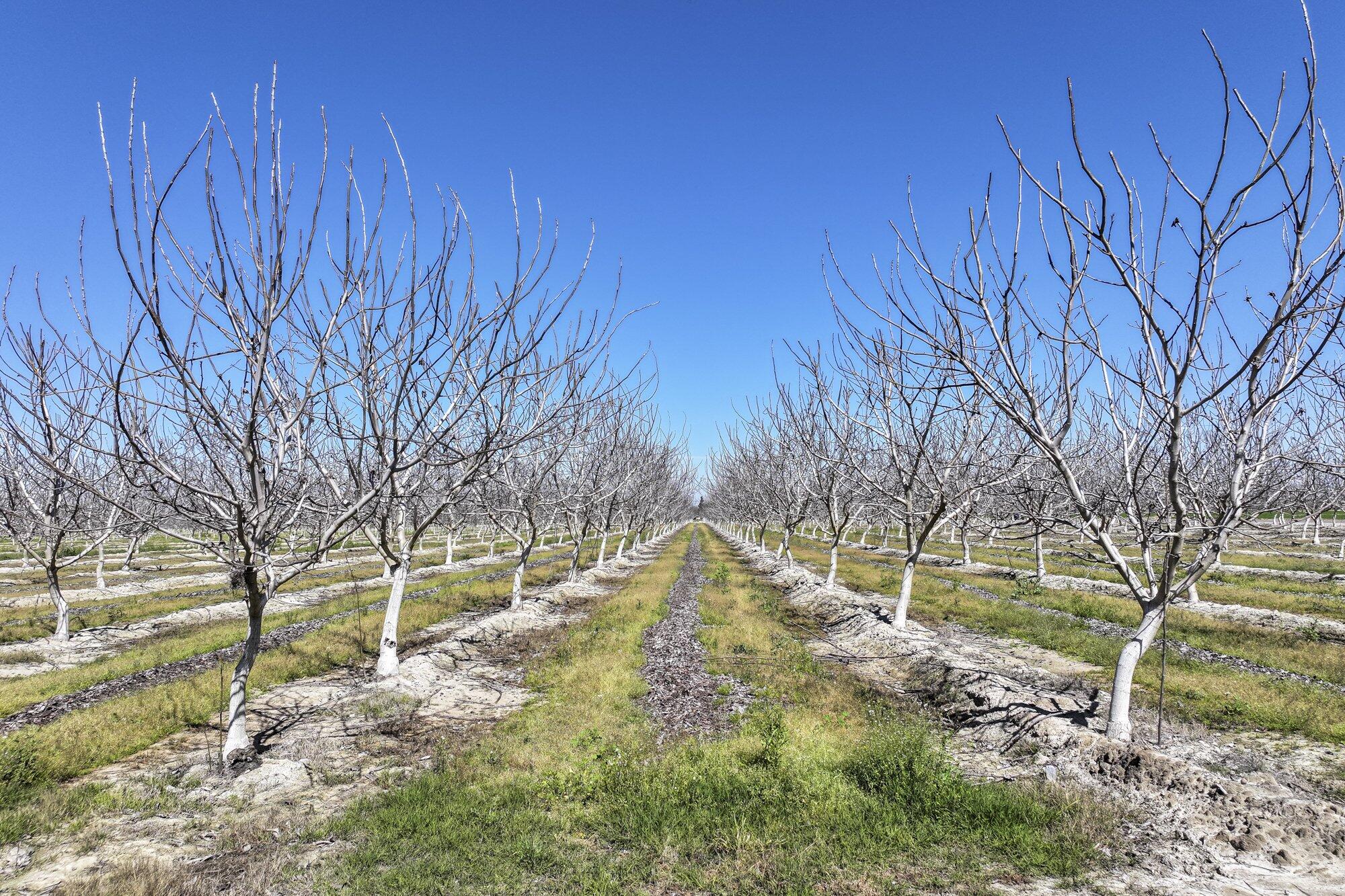 91 E Harlan Ave, Laton, CA 93242