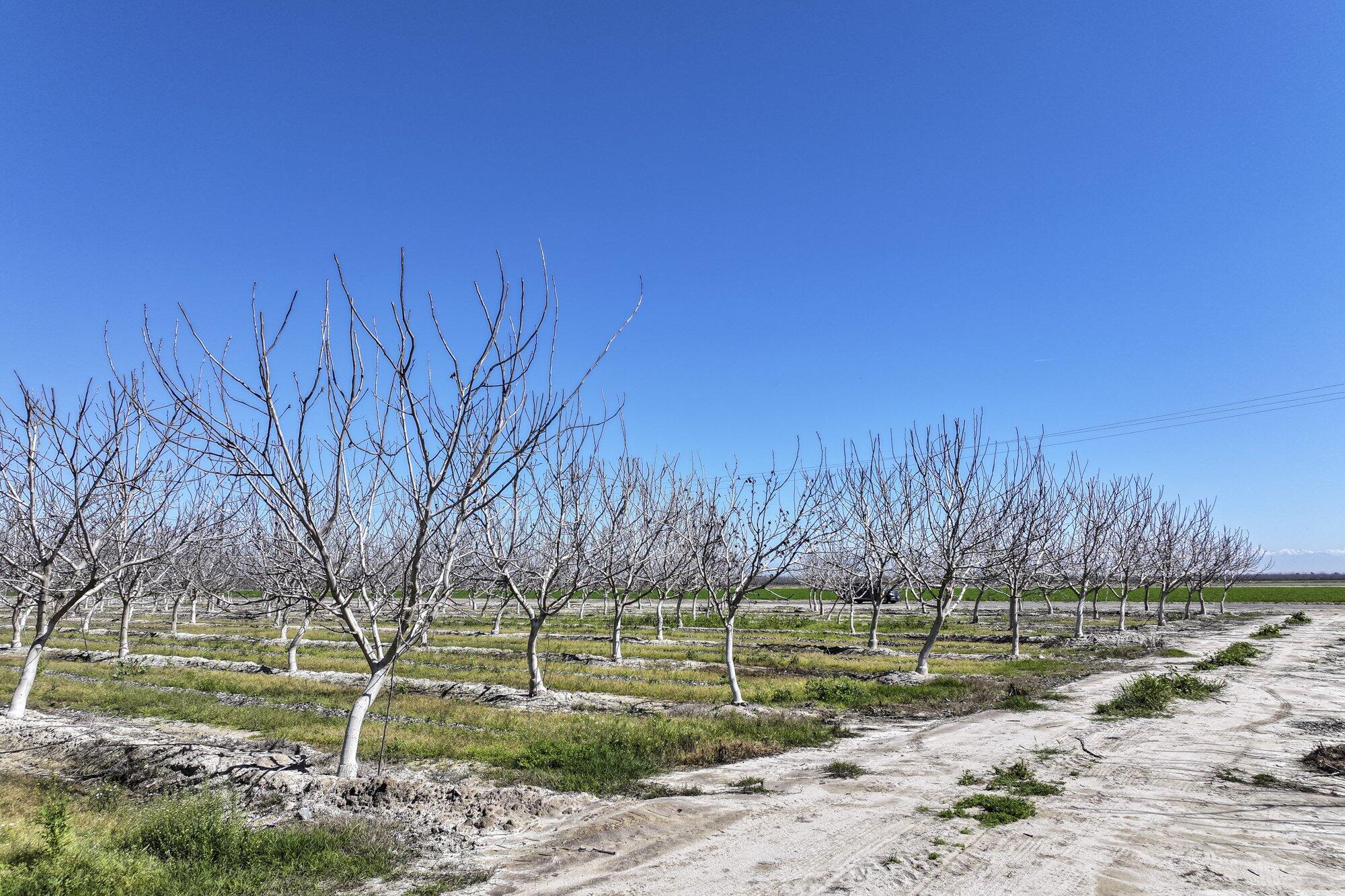 91 E Harlan Ave, Laton, CA 93242