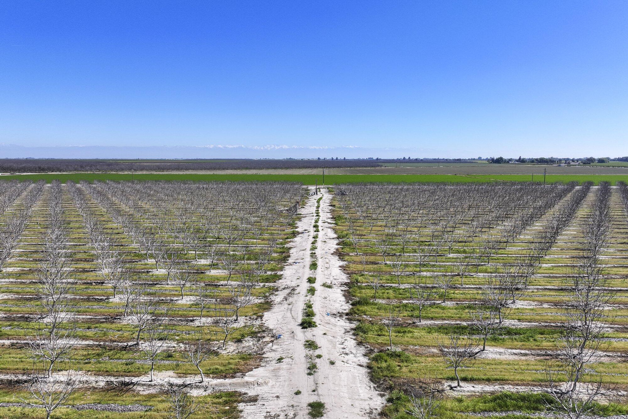 91 E Harlan Ave, Laton, CA 93242