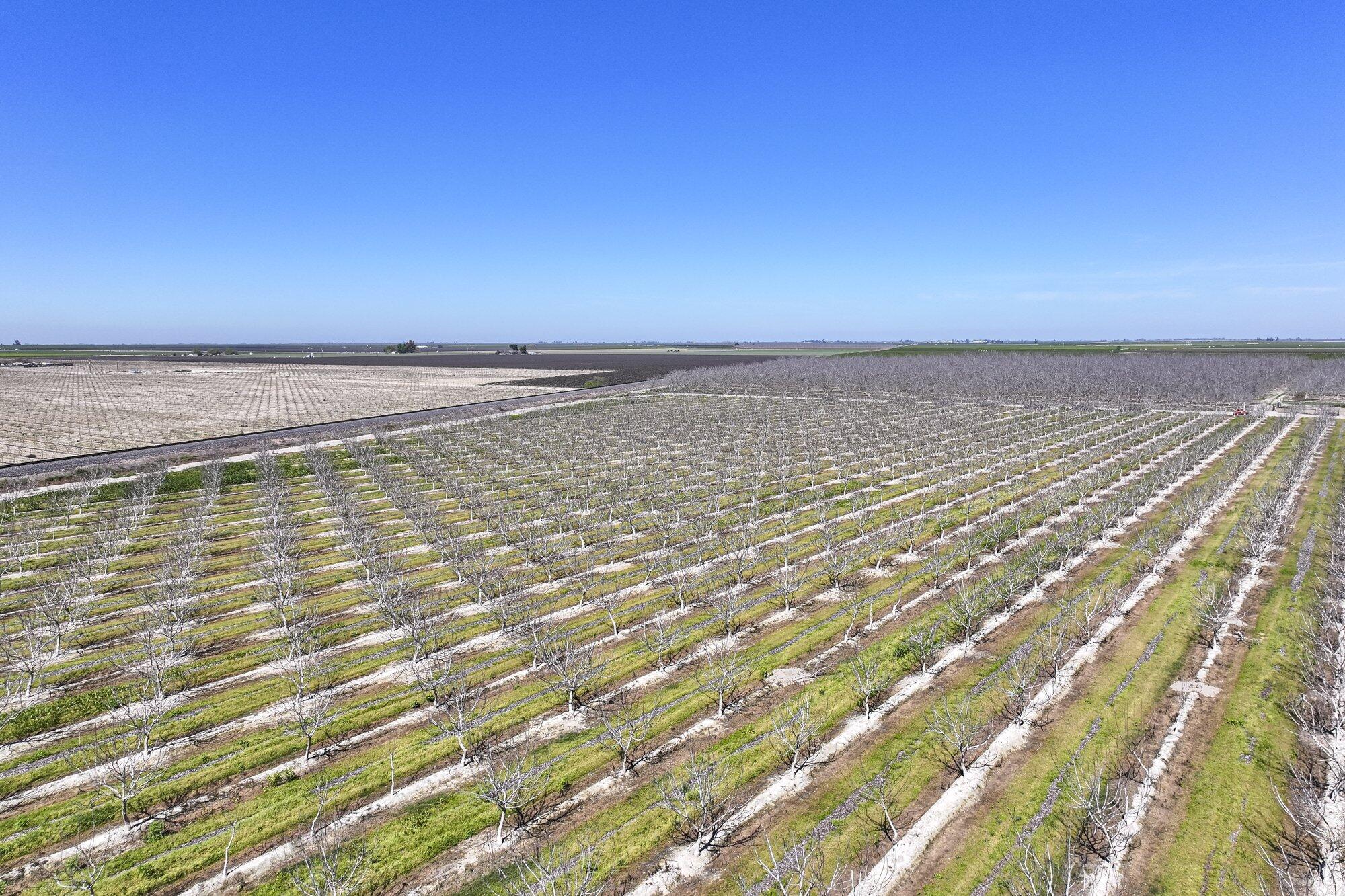 91 E Harlan Ave, Laton, CA 93242