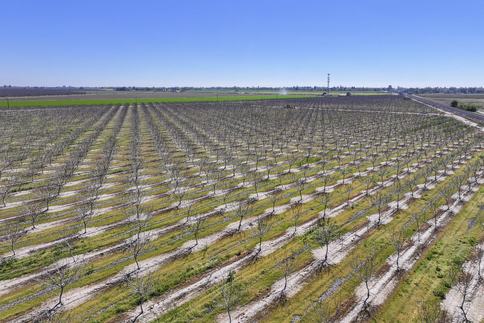 91 E Harlan Ave, Laton, CA 93242