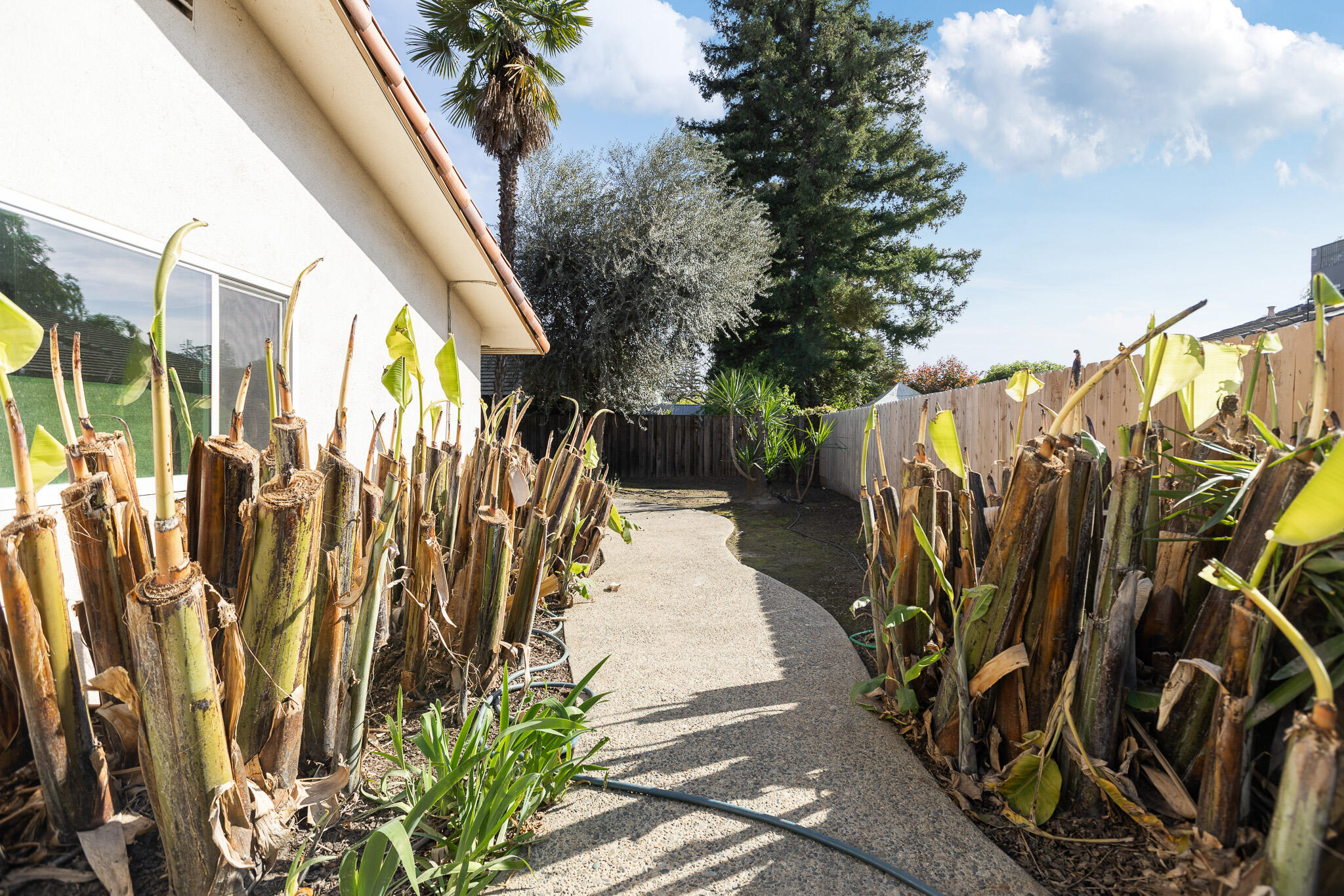 745 N Fulgham Ct, Visalia, CA 93291