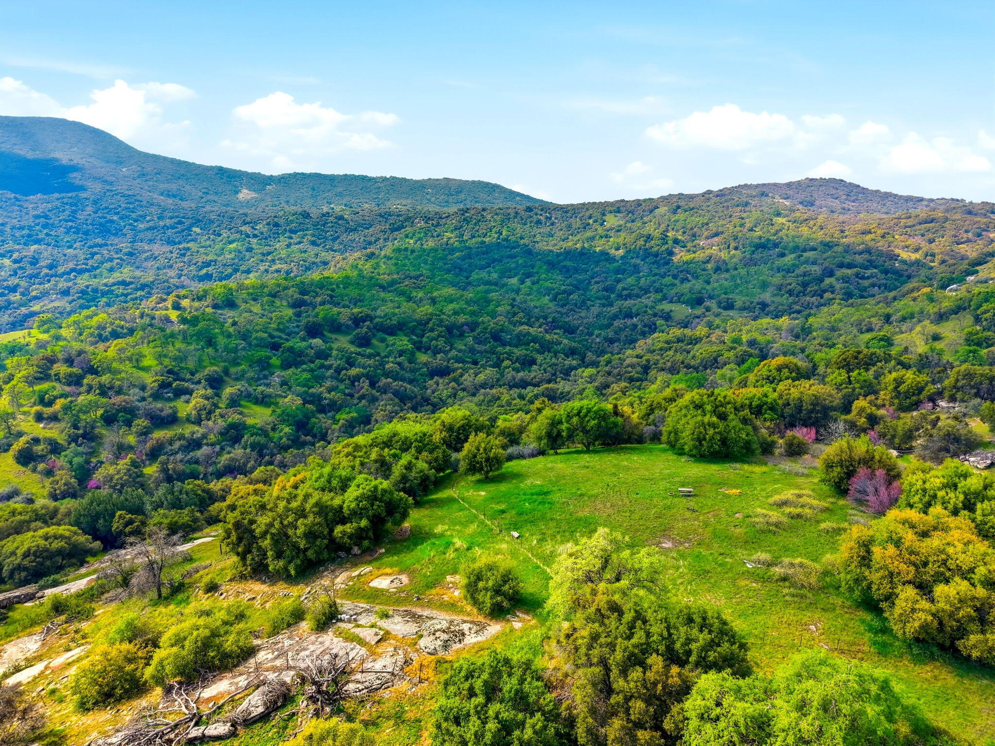 47415 Dry Creek Dr, Badger, CA 93603