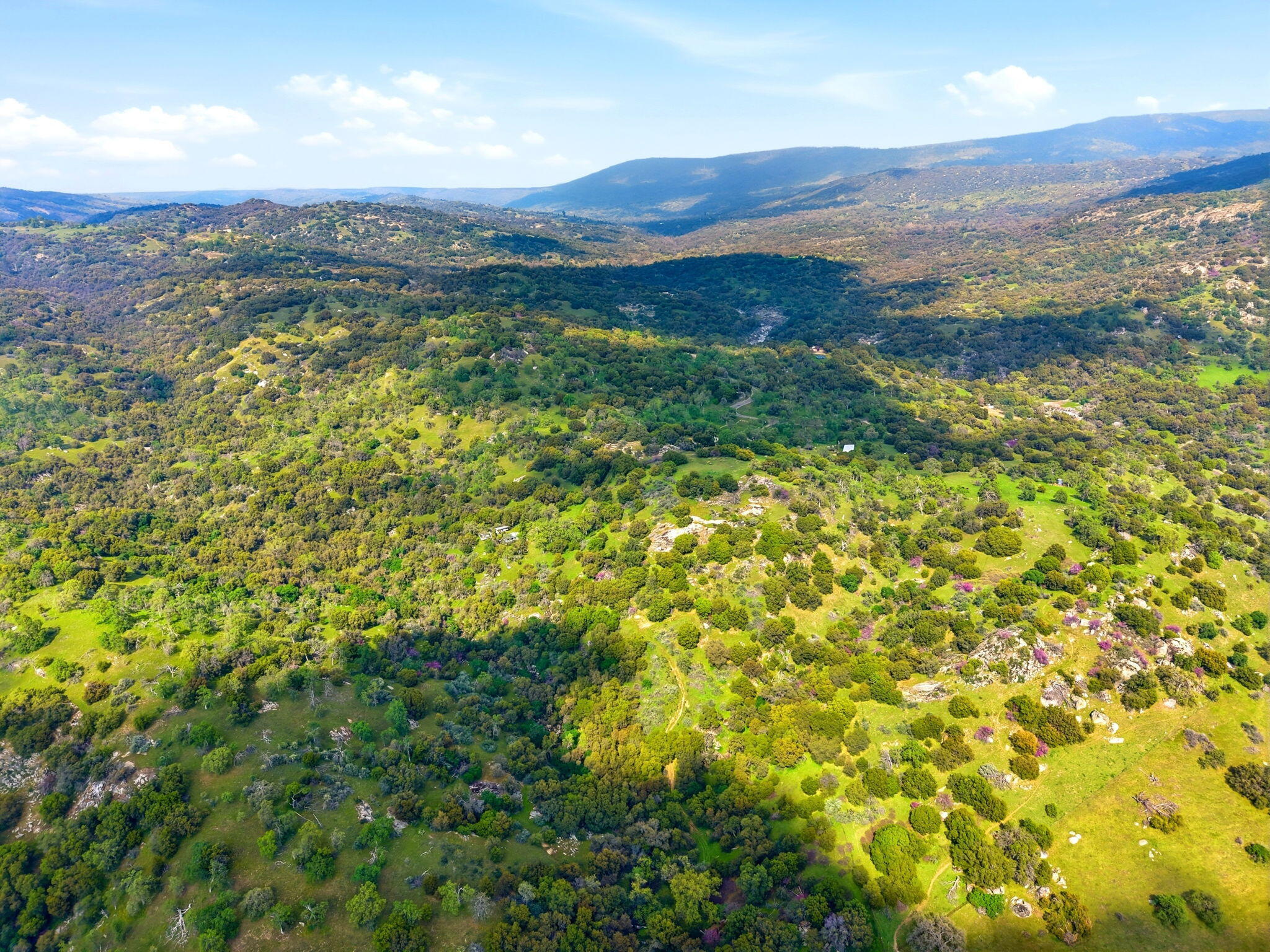 47415 Dry Creek Dr, Badger, CA 93603