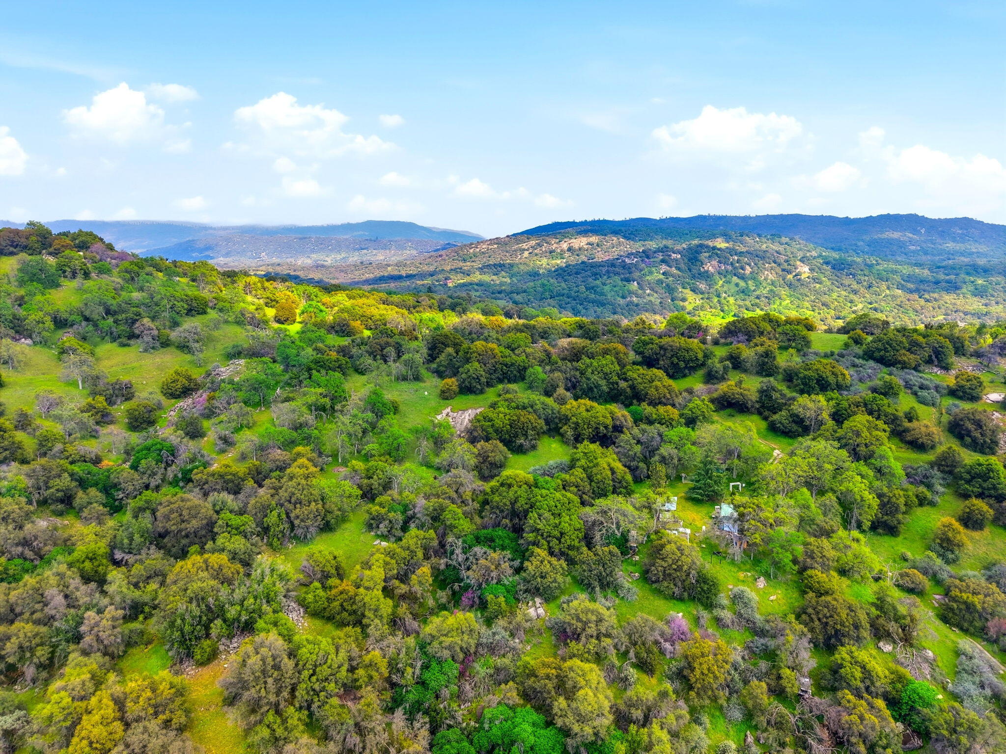 47415 Dry Creek Dr, Badger, CA 93603