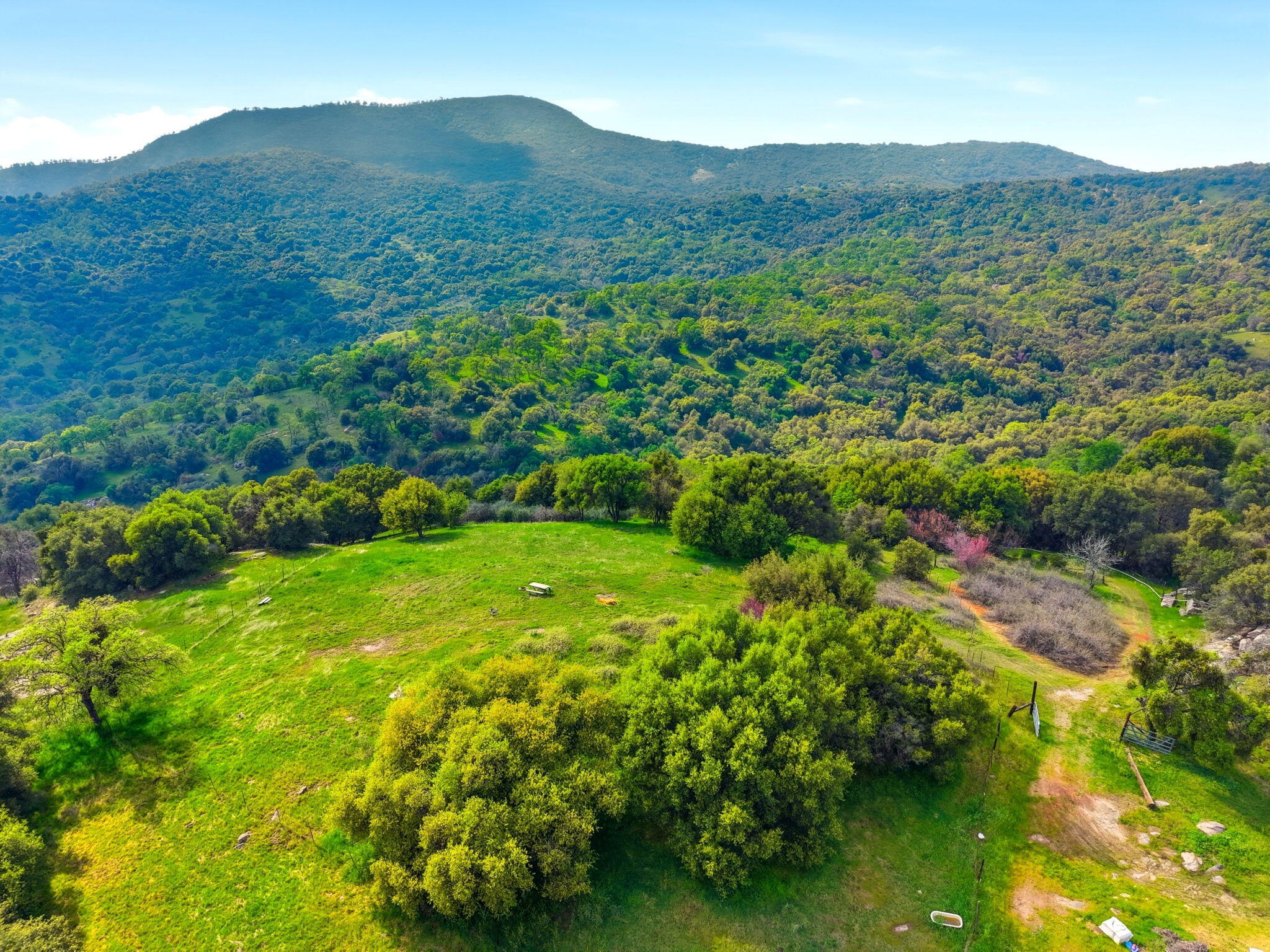 47415 Dry Creek Dr, Badger, CA 93603