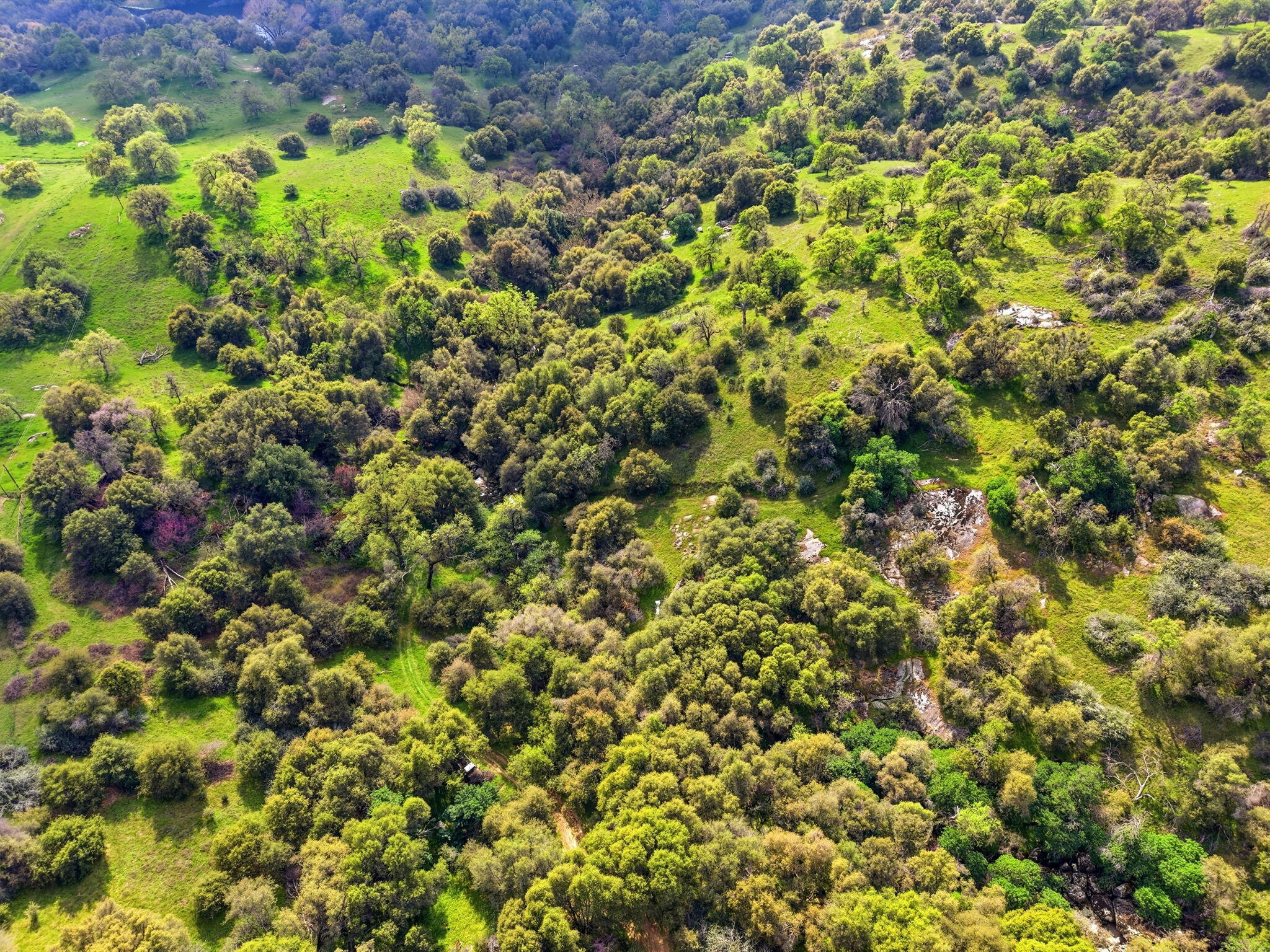 47415 Dry Creek Dr, Badger, CA 93603