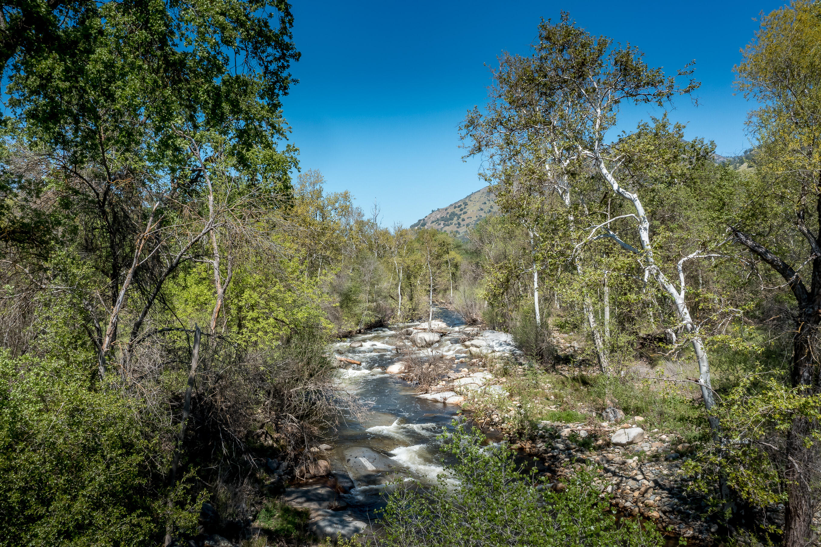 43157 Redstone Ln, Three Rivers, CA 93271