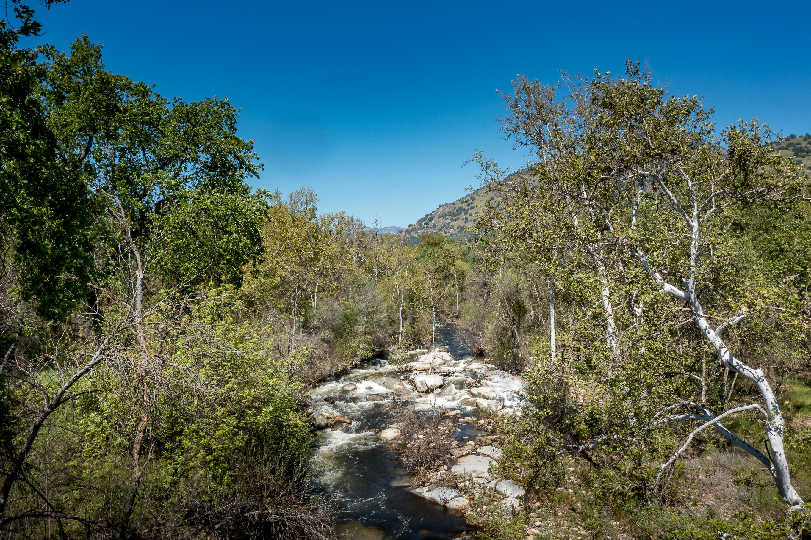 43157 Redstone Ln, Three Rivers, CA 93271