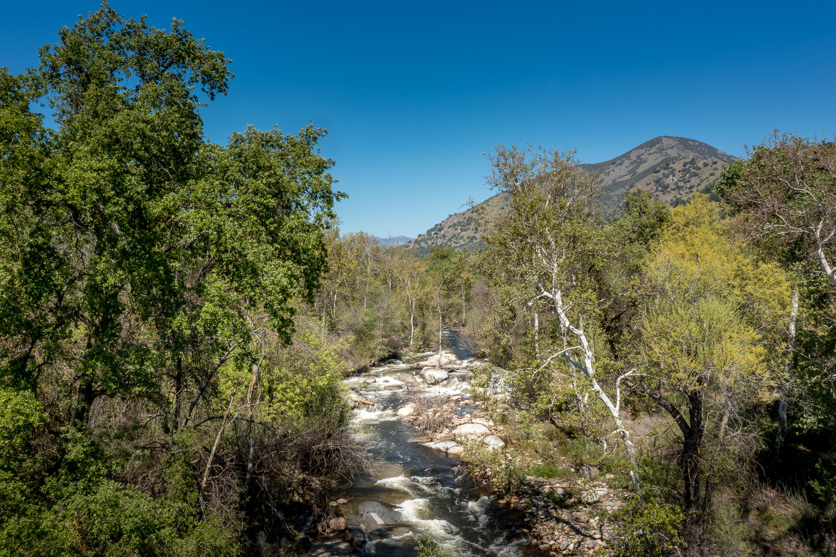 43157 Redstone Ln, Three Rivers, CA 93271