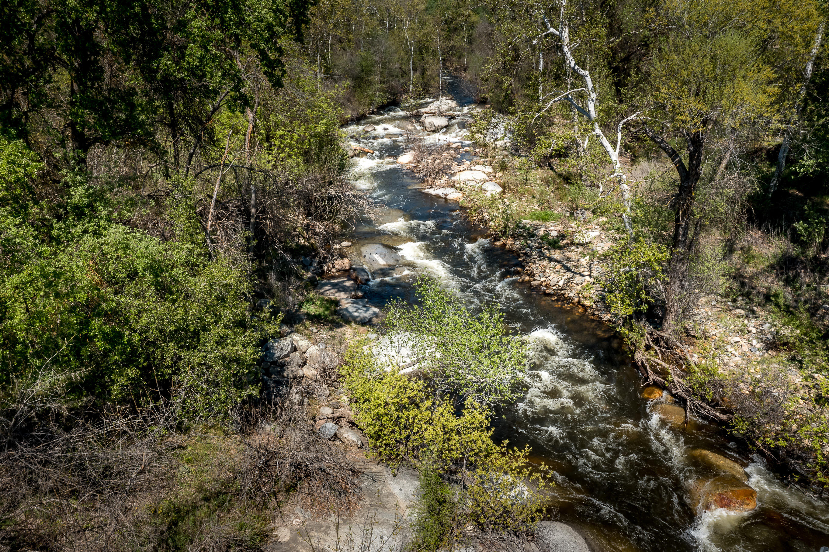 43157 Redstone Ln, Three Rivers, CA 93271