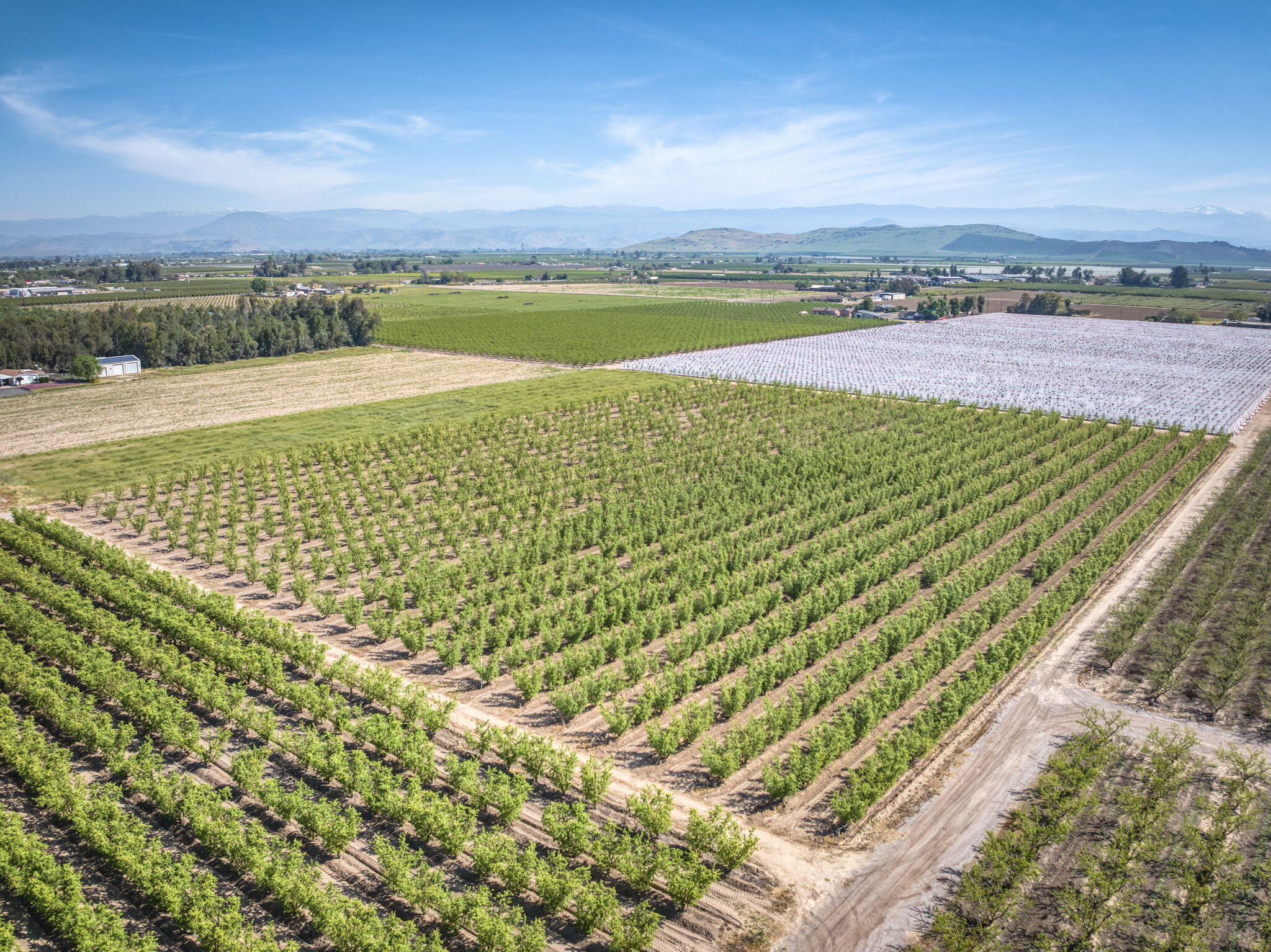 42682 Road 72, Dinuba, CA 93618