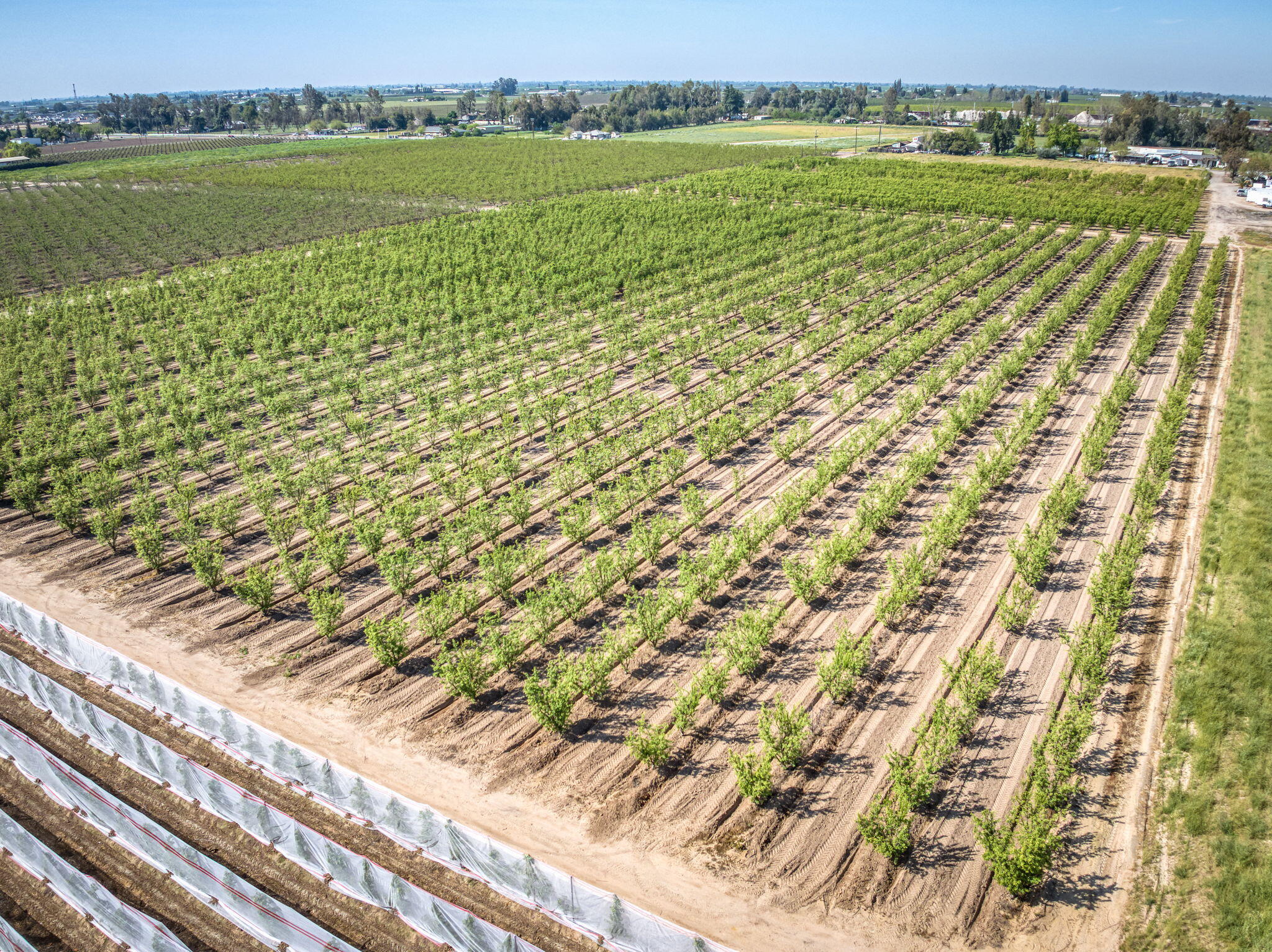 42682 Road 72, Dinuba, CA 93618