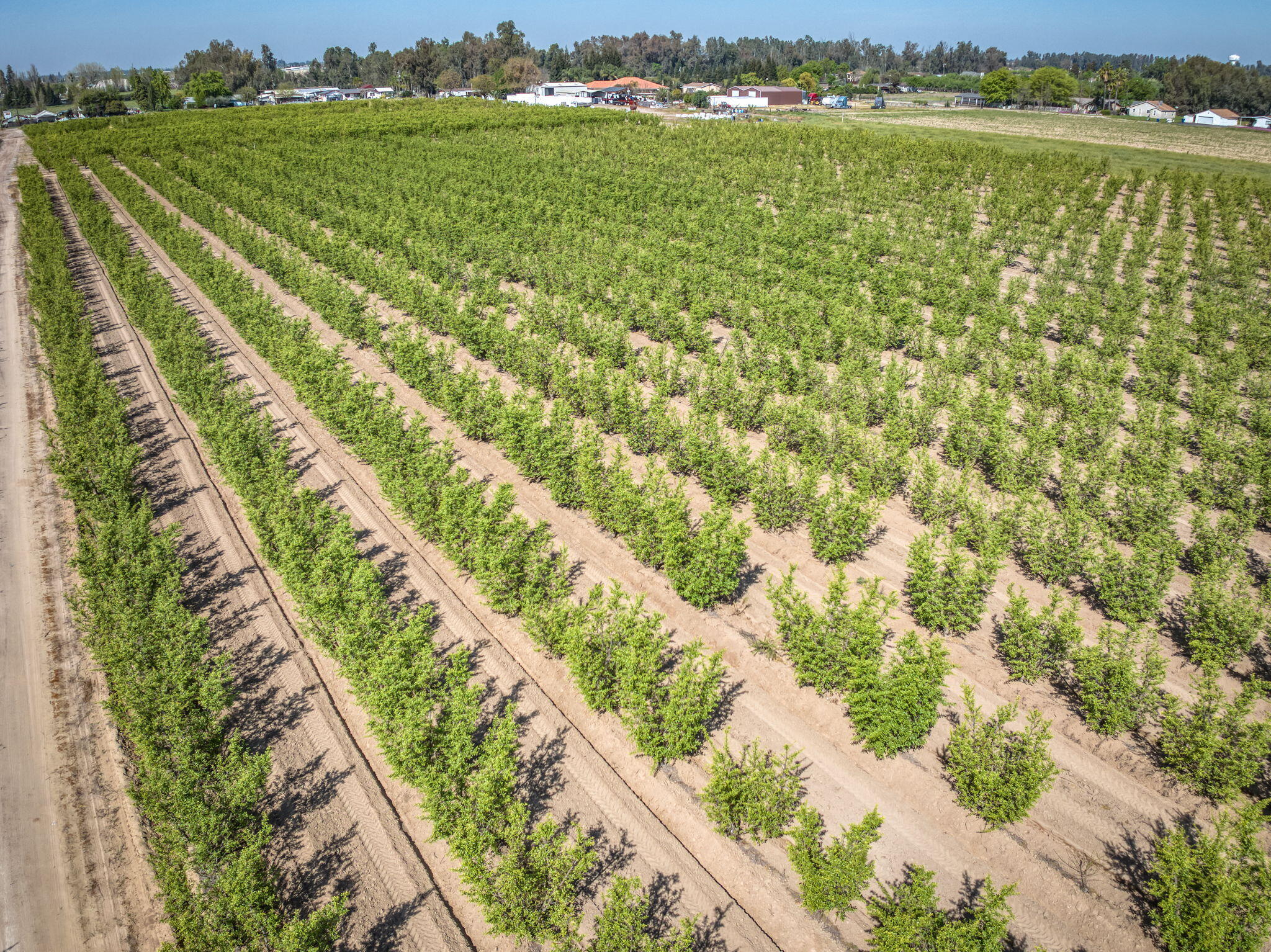 42682 Road 72, Dinuba, CA 93618