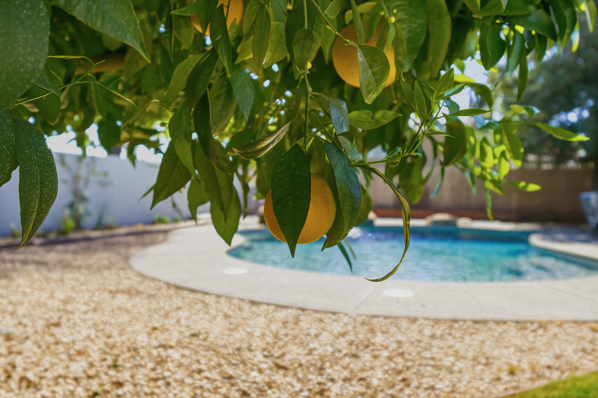 4111 W Redding Ave, Visalia, CA 93277