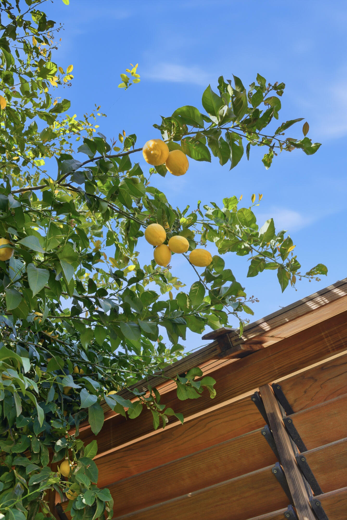 4111 W Redding Ave, Visalia, CA 93277