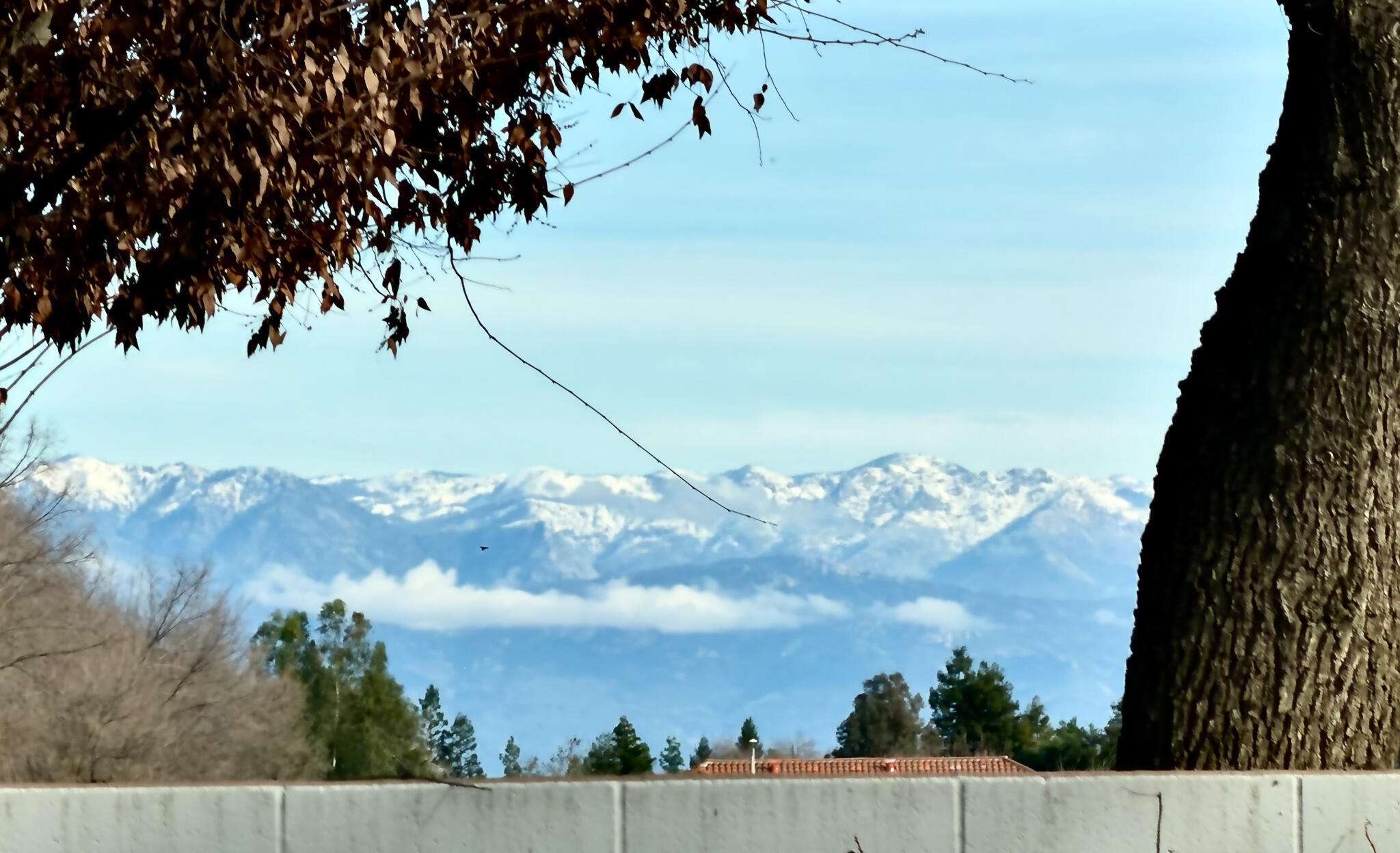 4111 W Redding Ave, Visalia, CA 93277