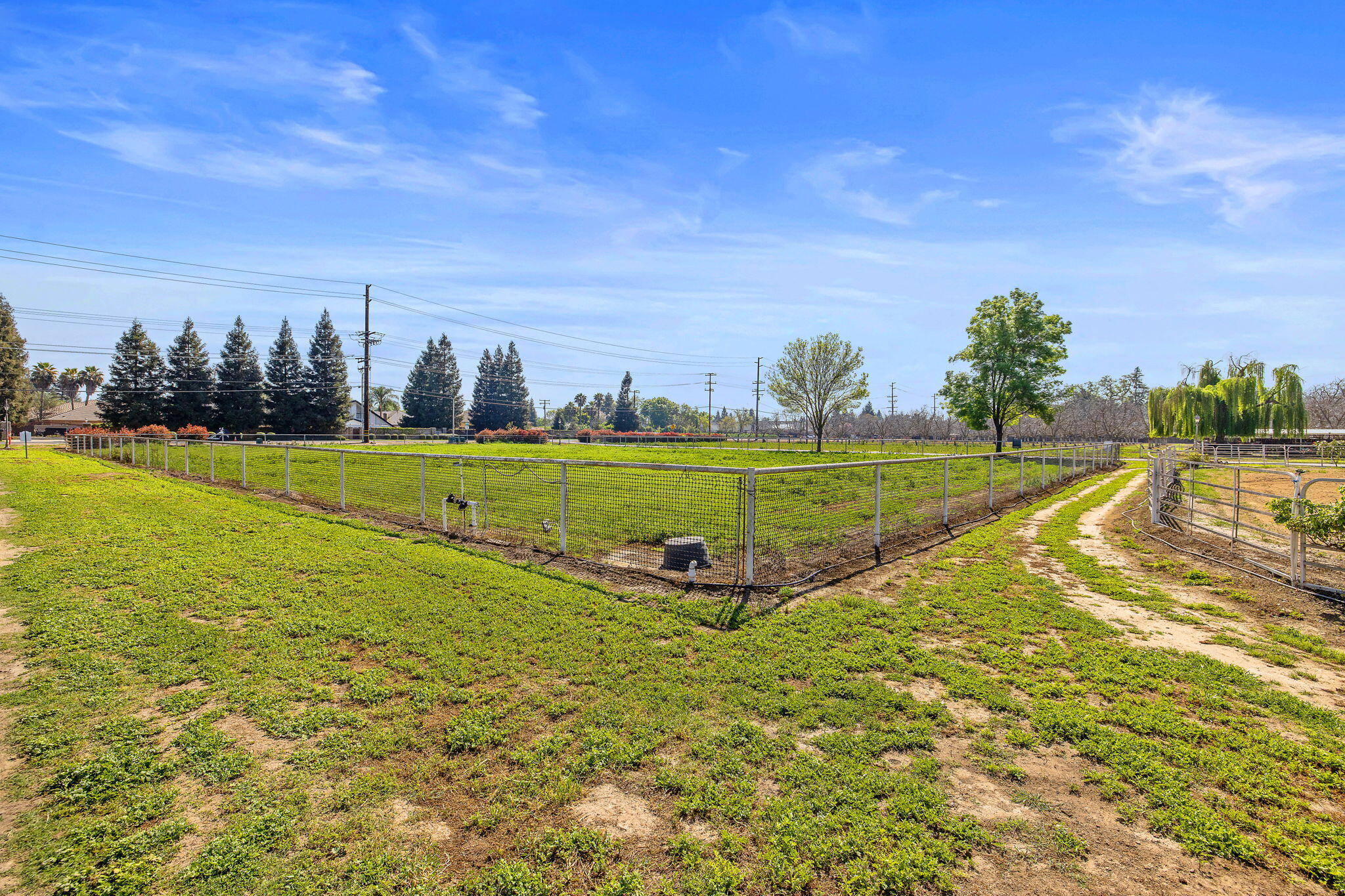 703 N Shirk Rd, Visalia, CA 93291