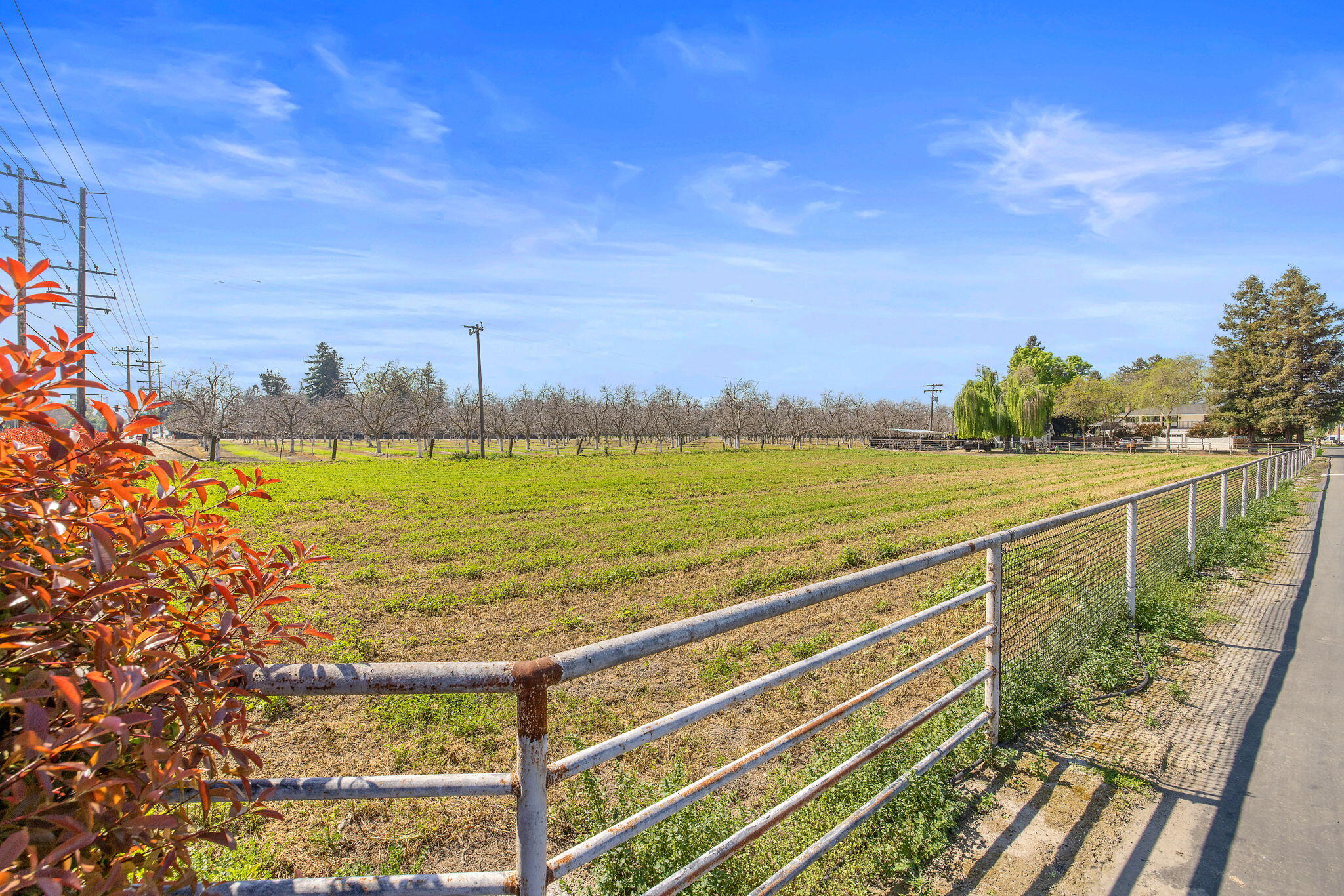 703 N Shirk Rd, Visalia, CA 93291