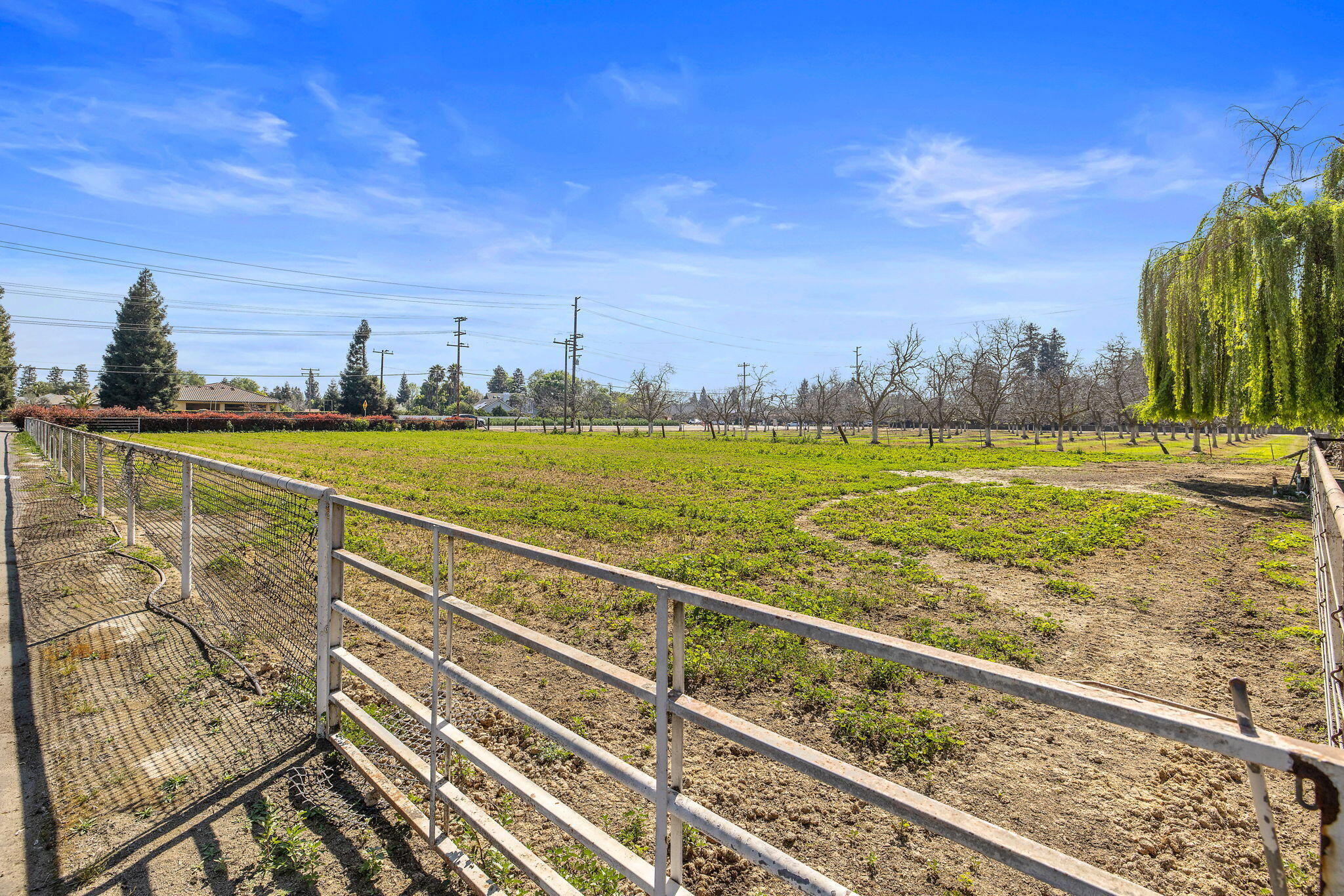 703 N Shirk Rd, Visalia, CA 93291