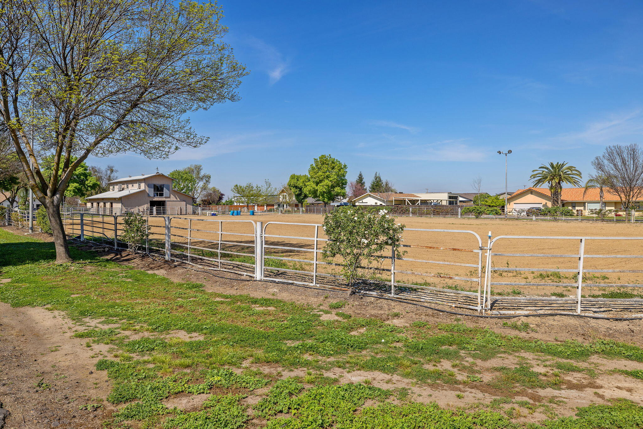 703 N Shirk Rd, Visalia, CA 93291