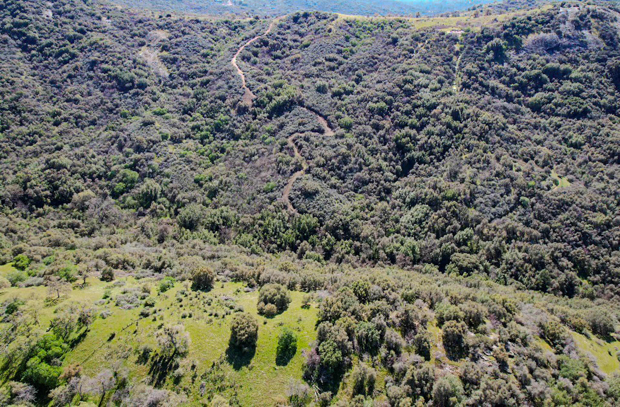 44981 Todd Eymann Rd, Miramonte, CA 93641