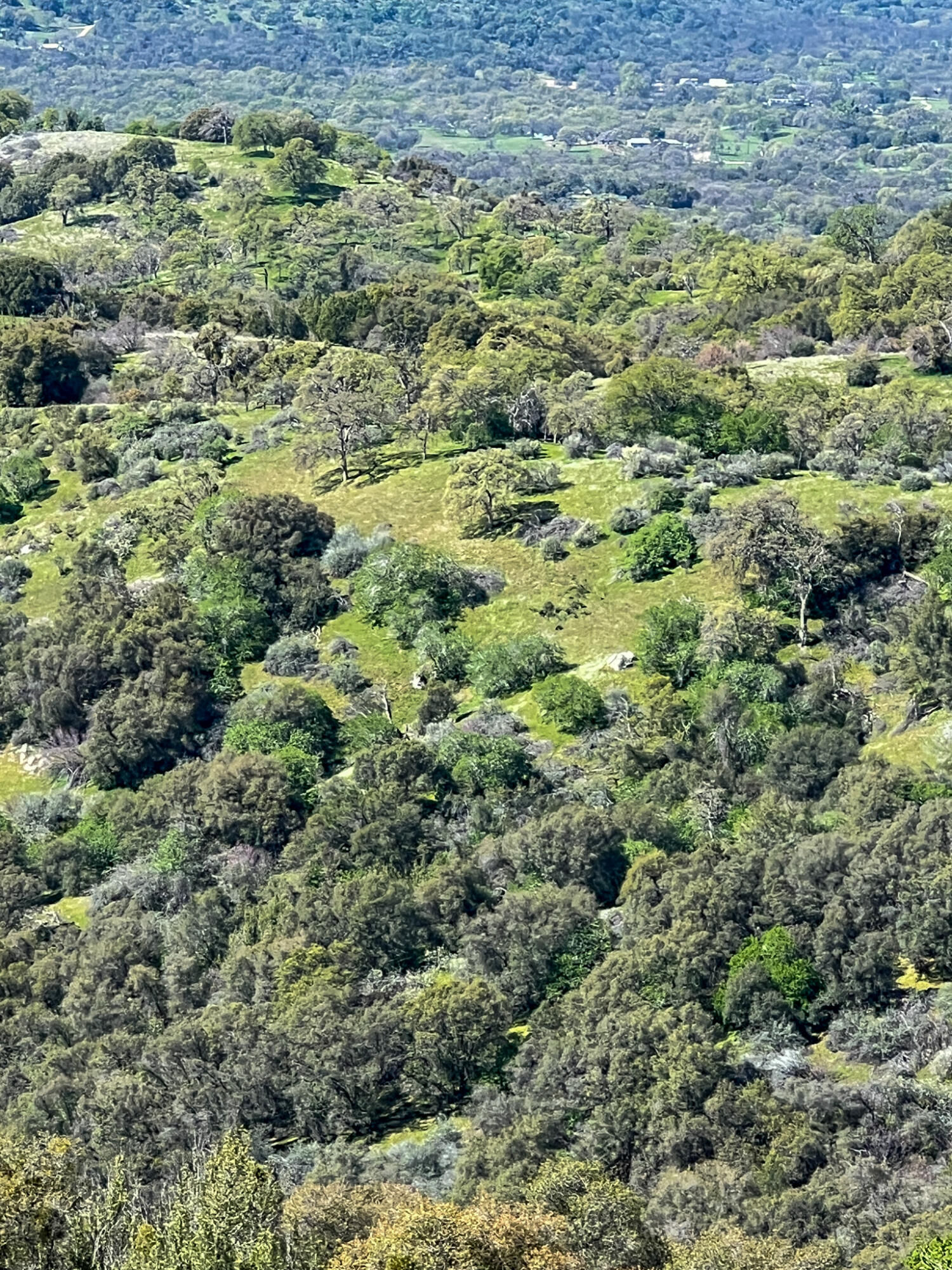 44981 Todd Eymann Rd, Miramonte, CA 93641