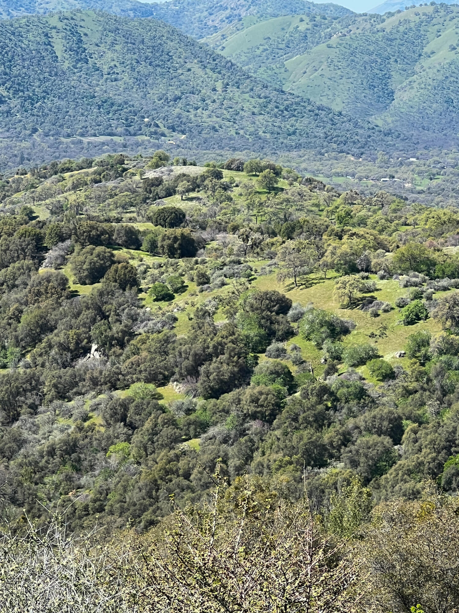44981 Todd Eymann Rd, Miramonte, CA 93641