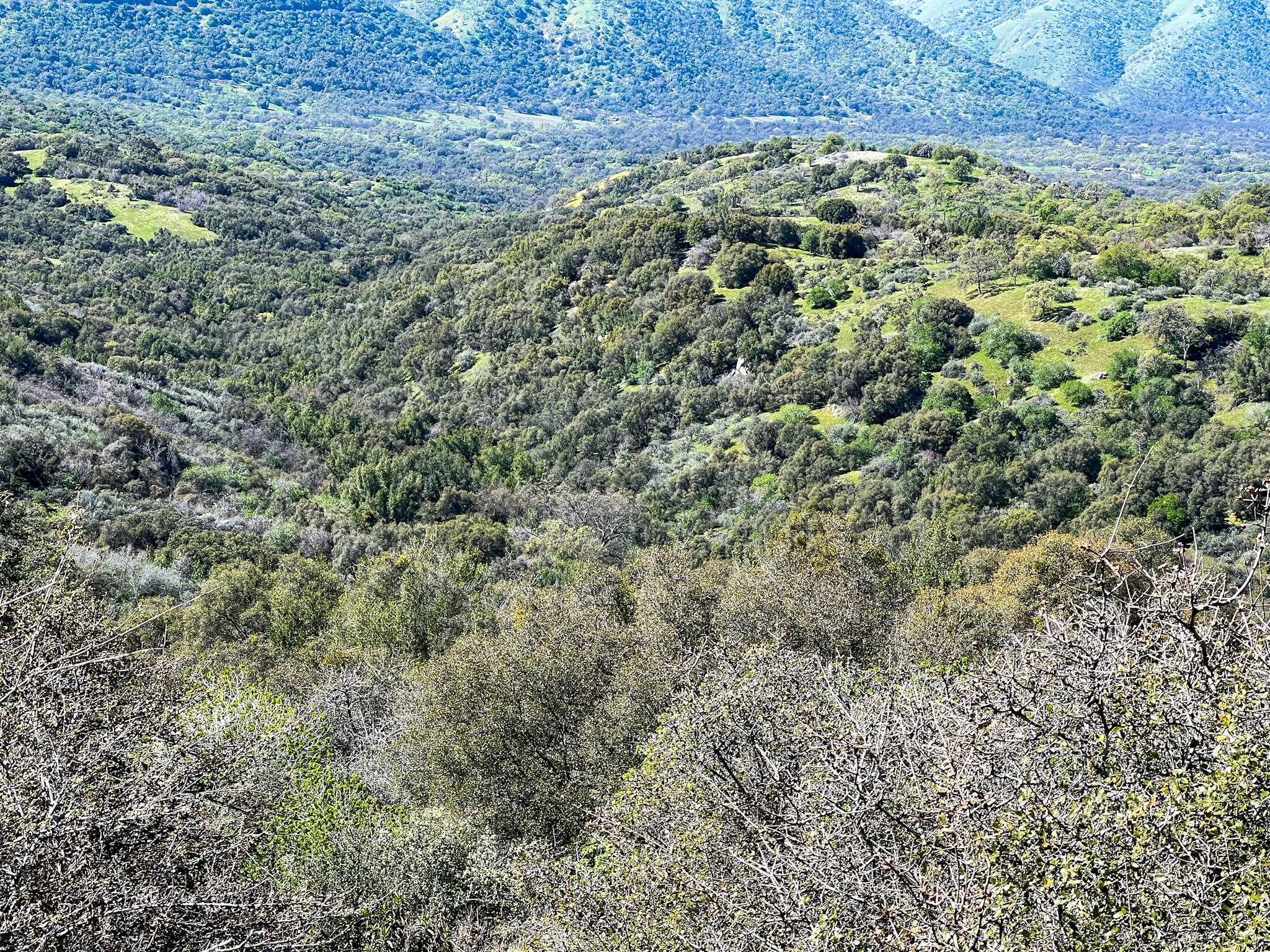 44981 Todd Eymann Rd, Miramonte, CA 93641