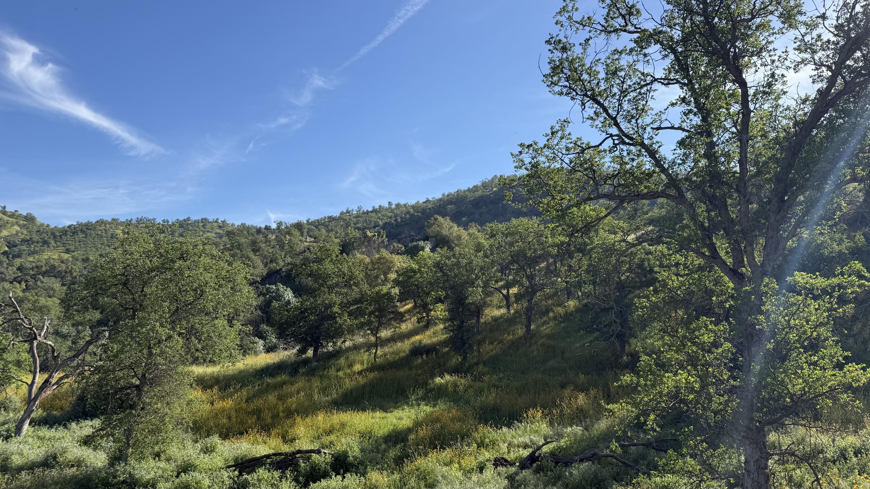 0 Sierra Dr, Three Rivers, CA 93271