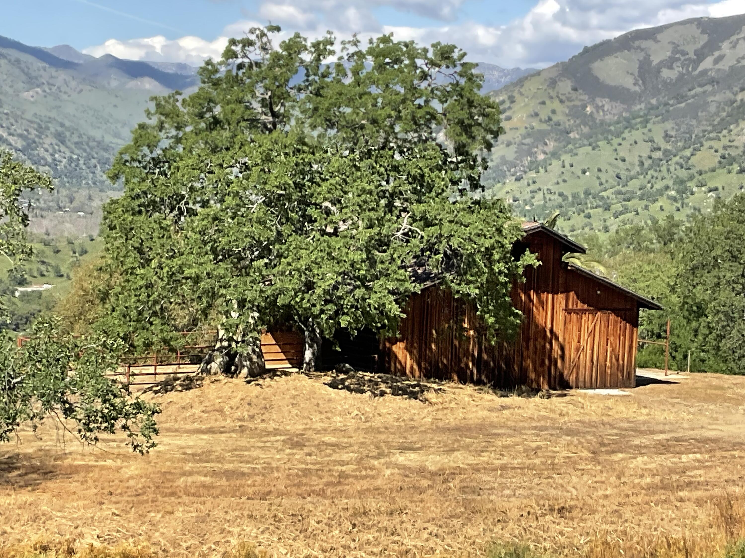 41652 Mynatt Dr, Three Rivers, CA 93271