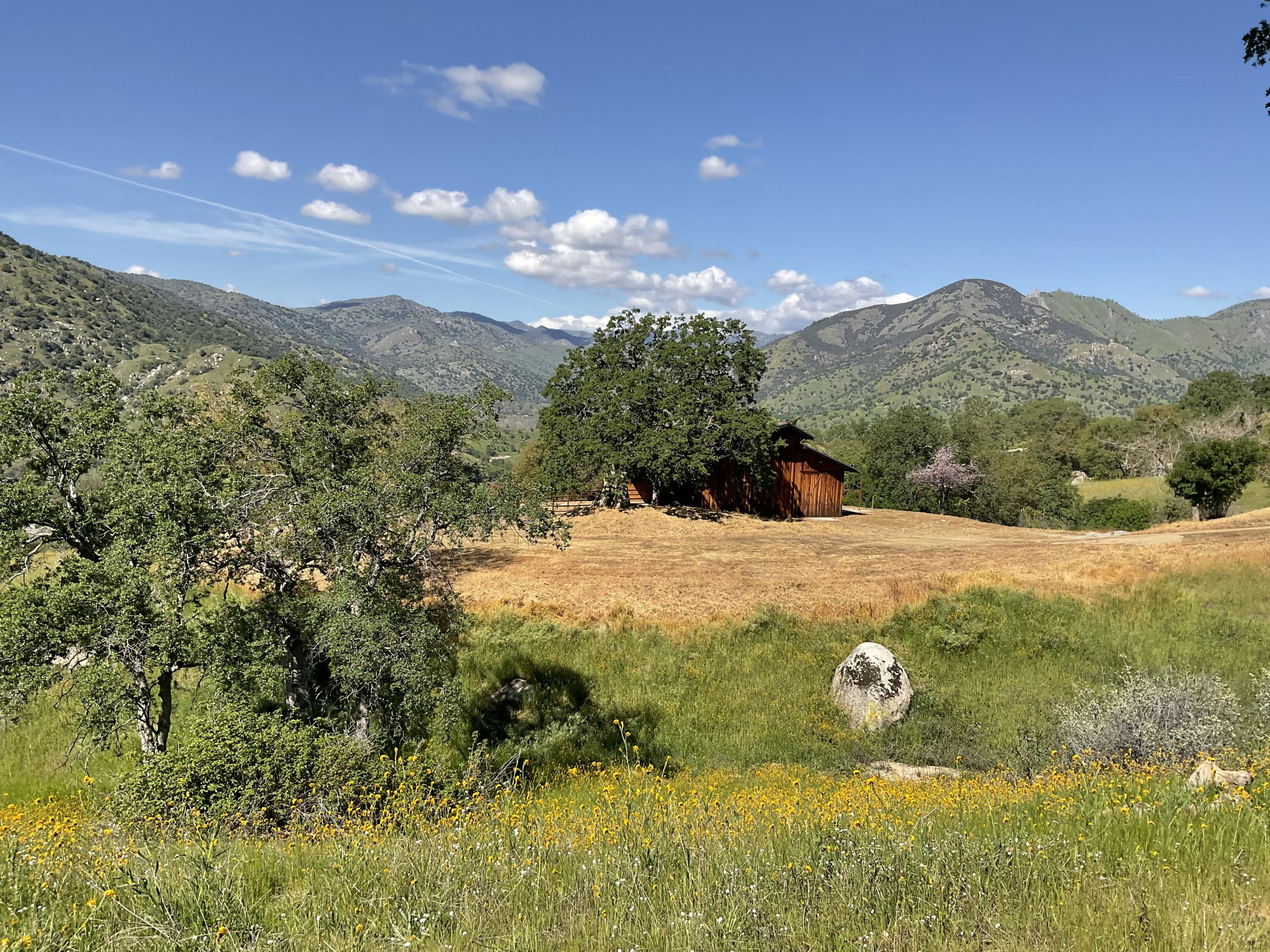 41652 Mynatt Dr, Three Rivers, CA 93271