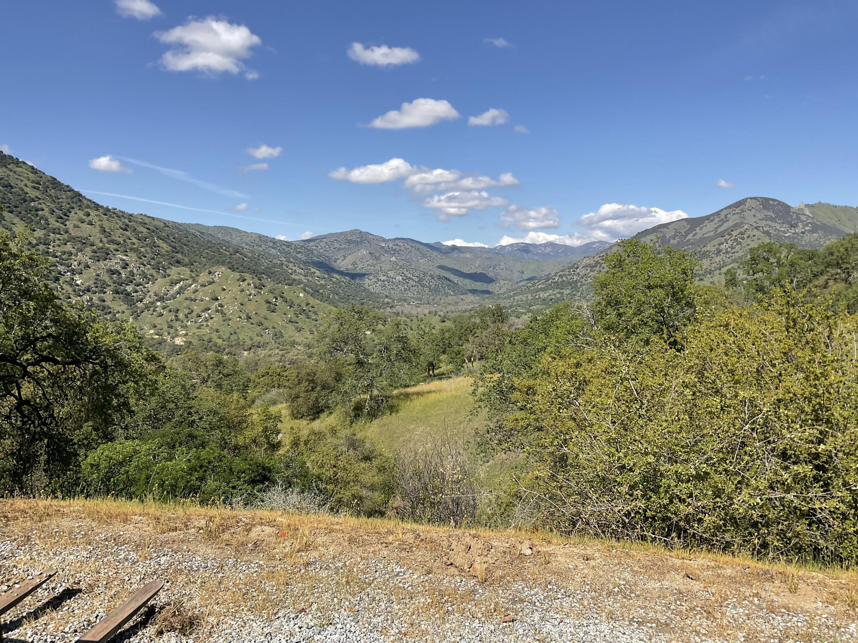 41652 Mynatt Dr, Three Rivers, CA 93271