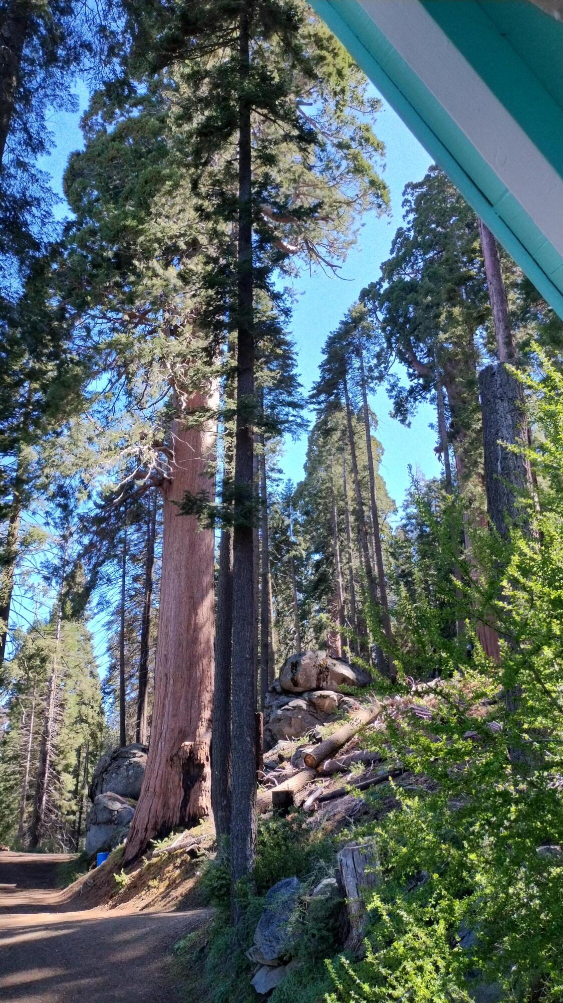 54622 Manzanita Dr, Sequoia Crest, CA 93265