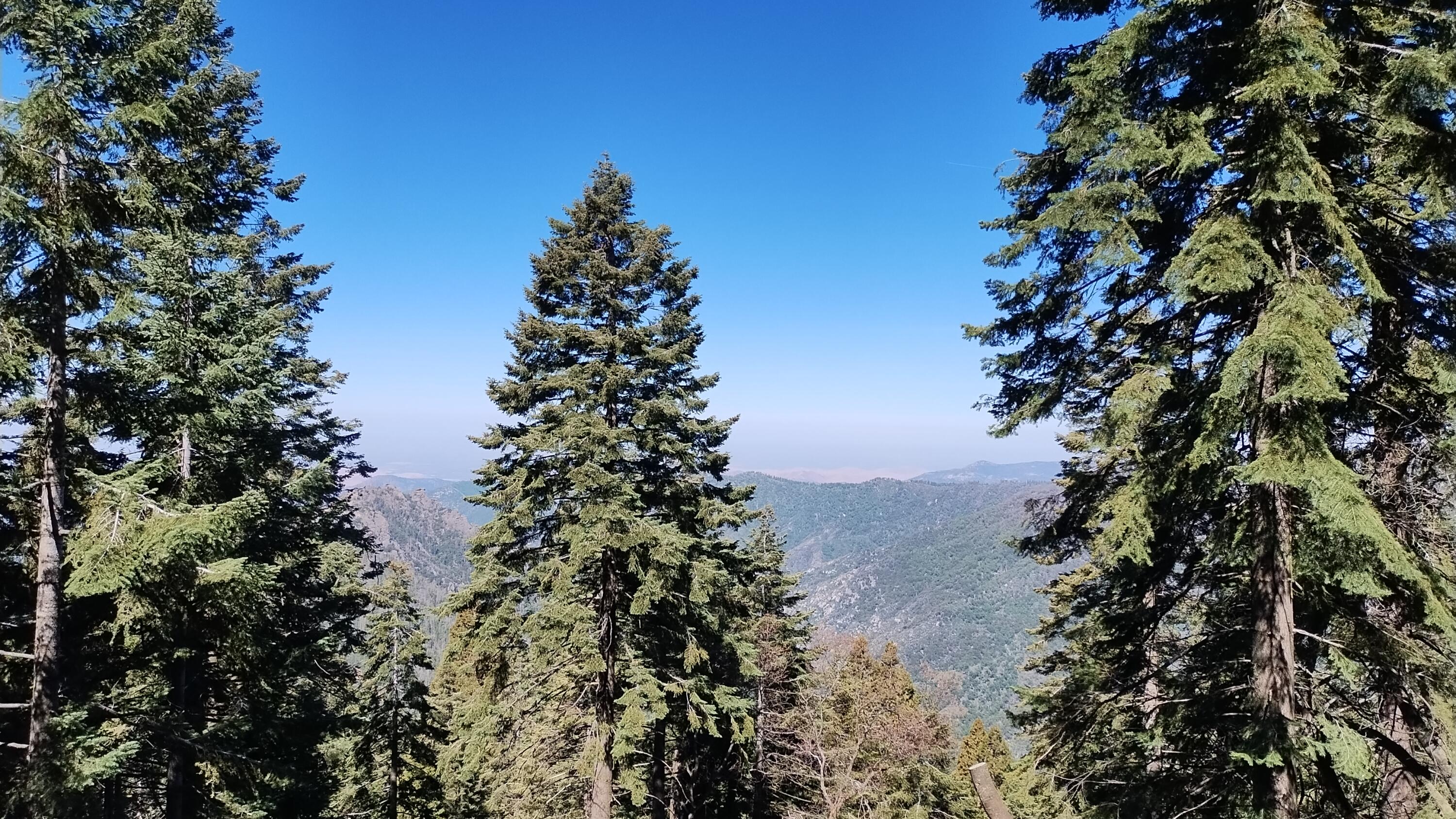 54622 Manzanita Dr, Sequoia Crest, CA 93265