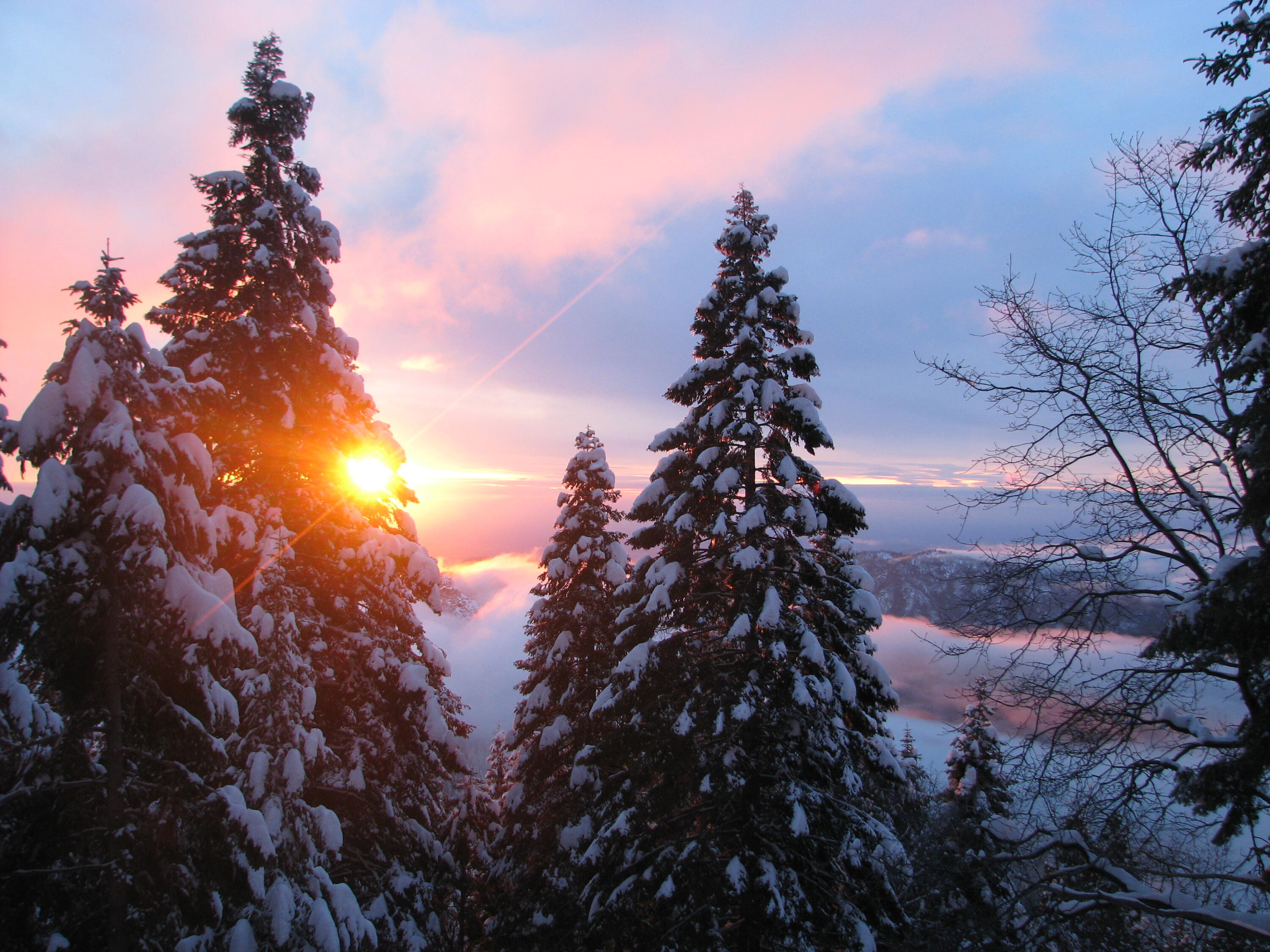 54622 Manzanita Dr, Sequoia Crest, CA 93265