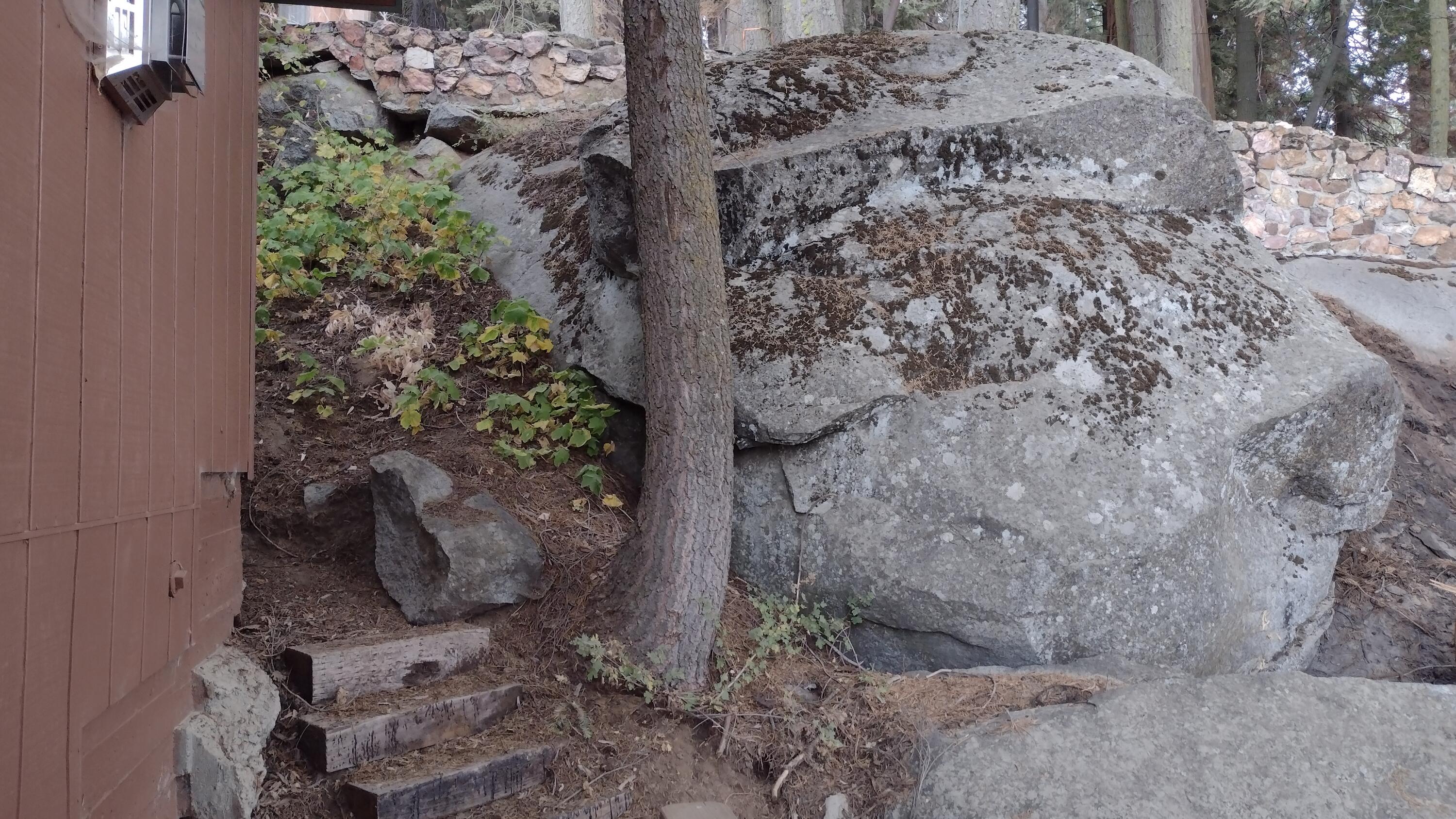 54622 Manzanita Dr, Sequoia Crest, CA 93265