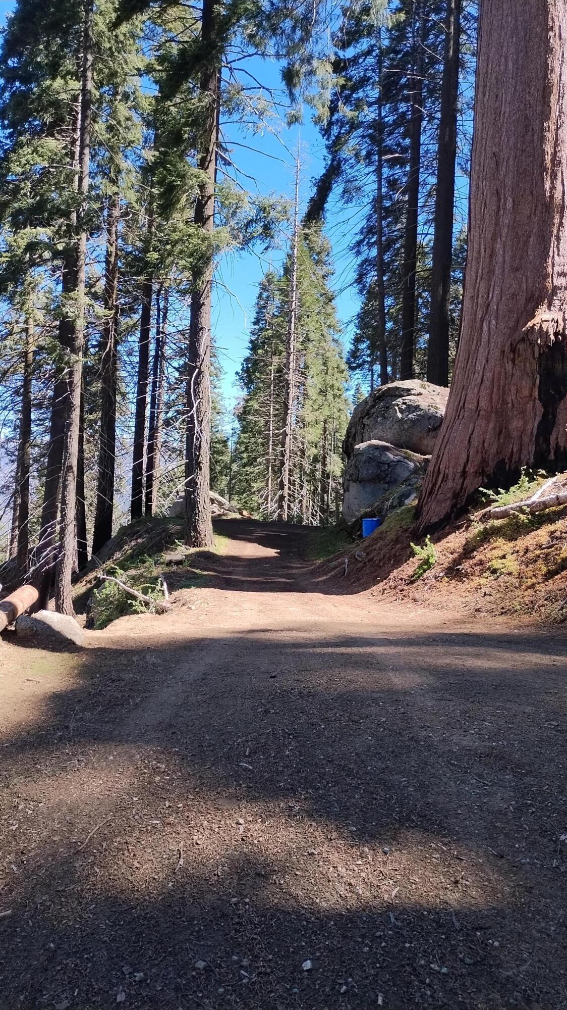 54622 Manzanita Dr, Sequoia Crest, CA 93265