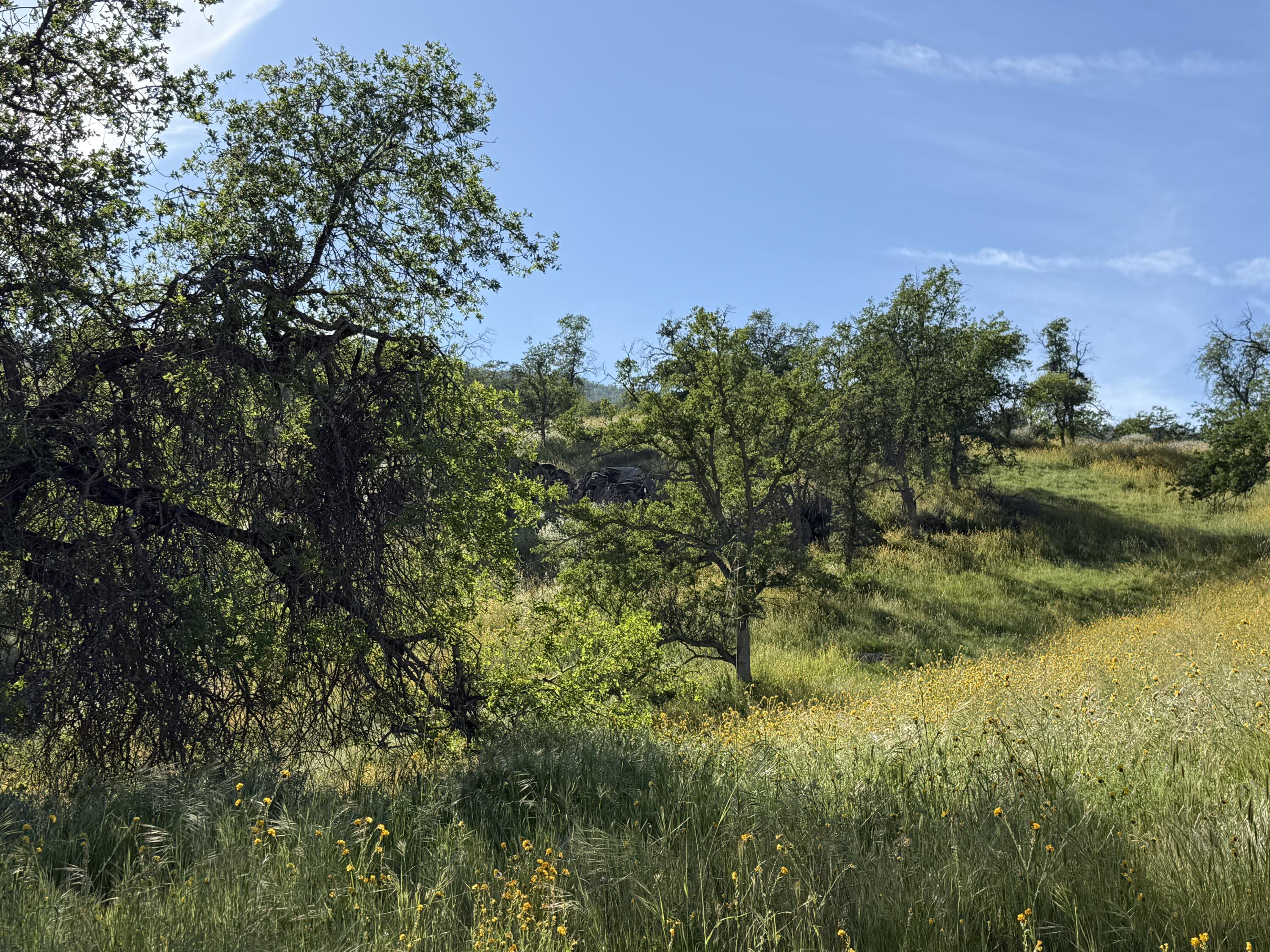 0 Sierra Dr, Three Rivers, CA 93271