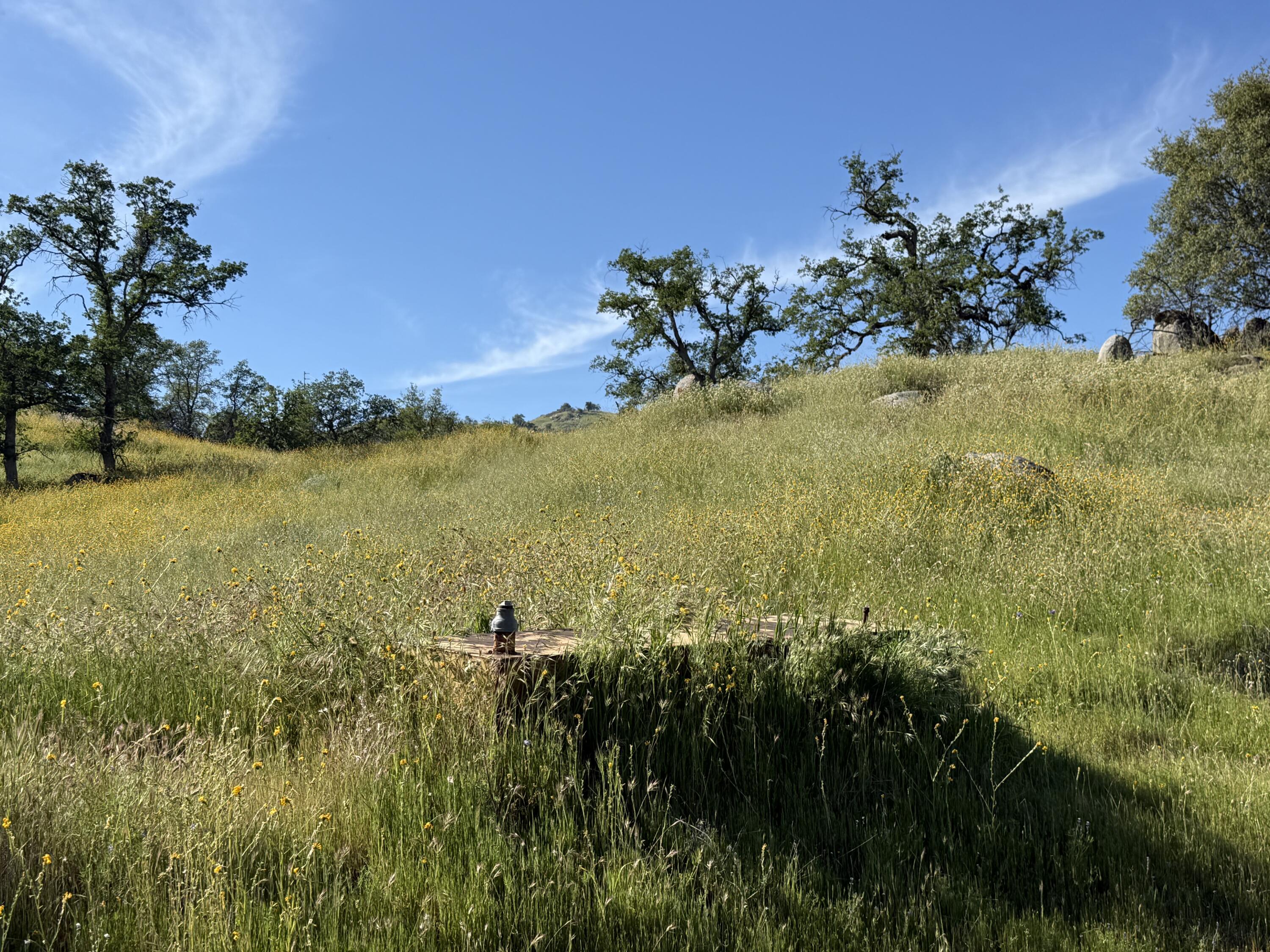 0 Sierra Dr, Three Rivers, CA 93271